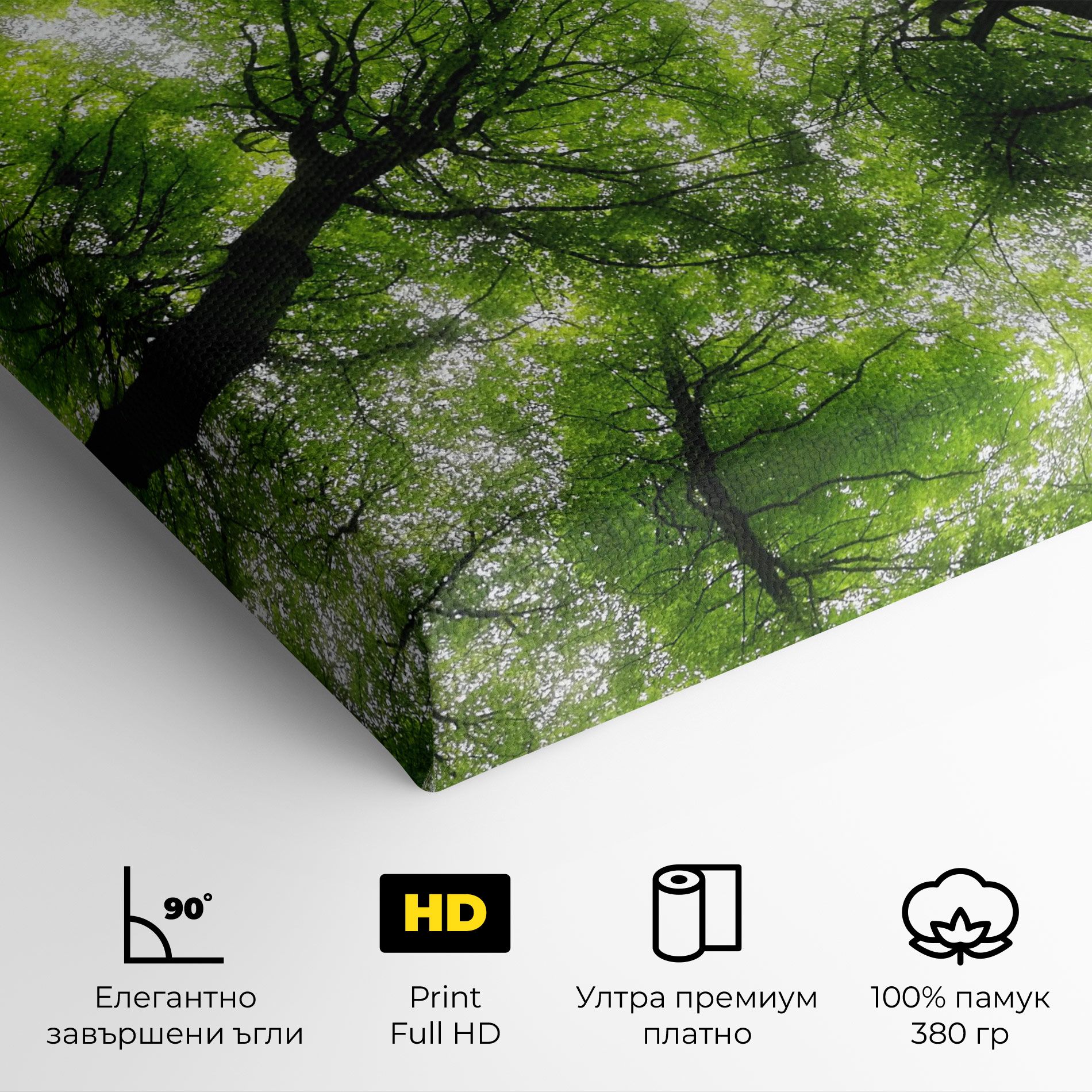 Forest Green Tree mockup 4