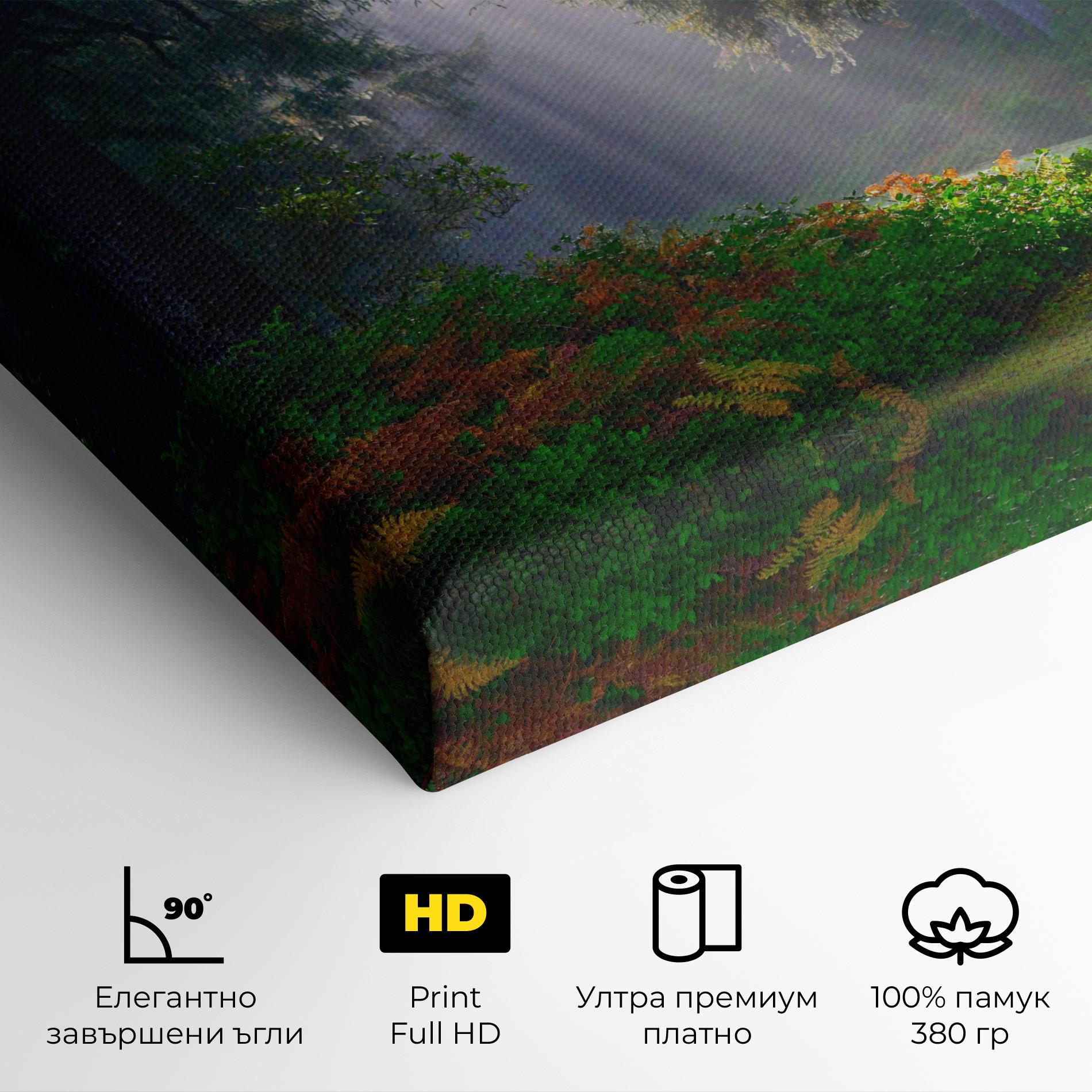 Картина на платно Forest Light mockup 4