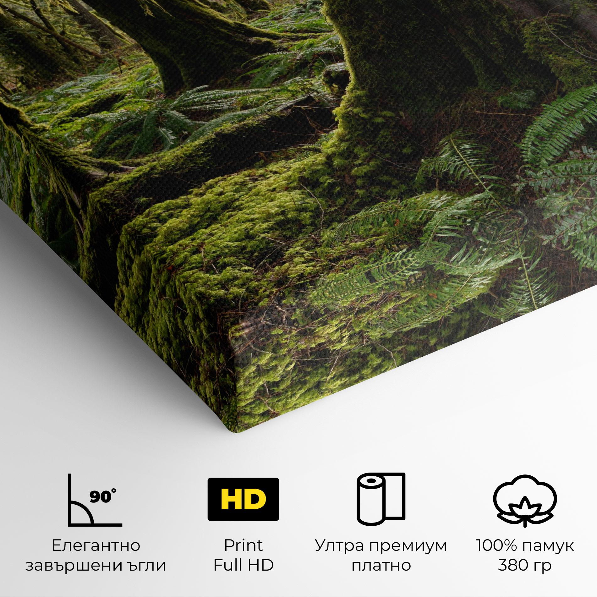 Картина на платно Green Moss Forest mockup 4