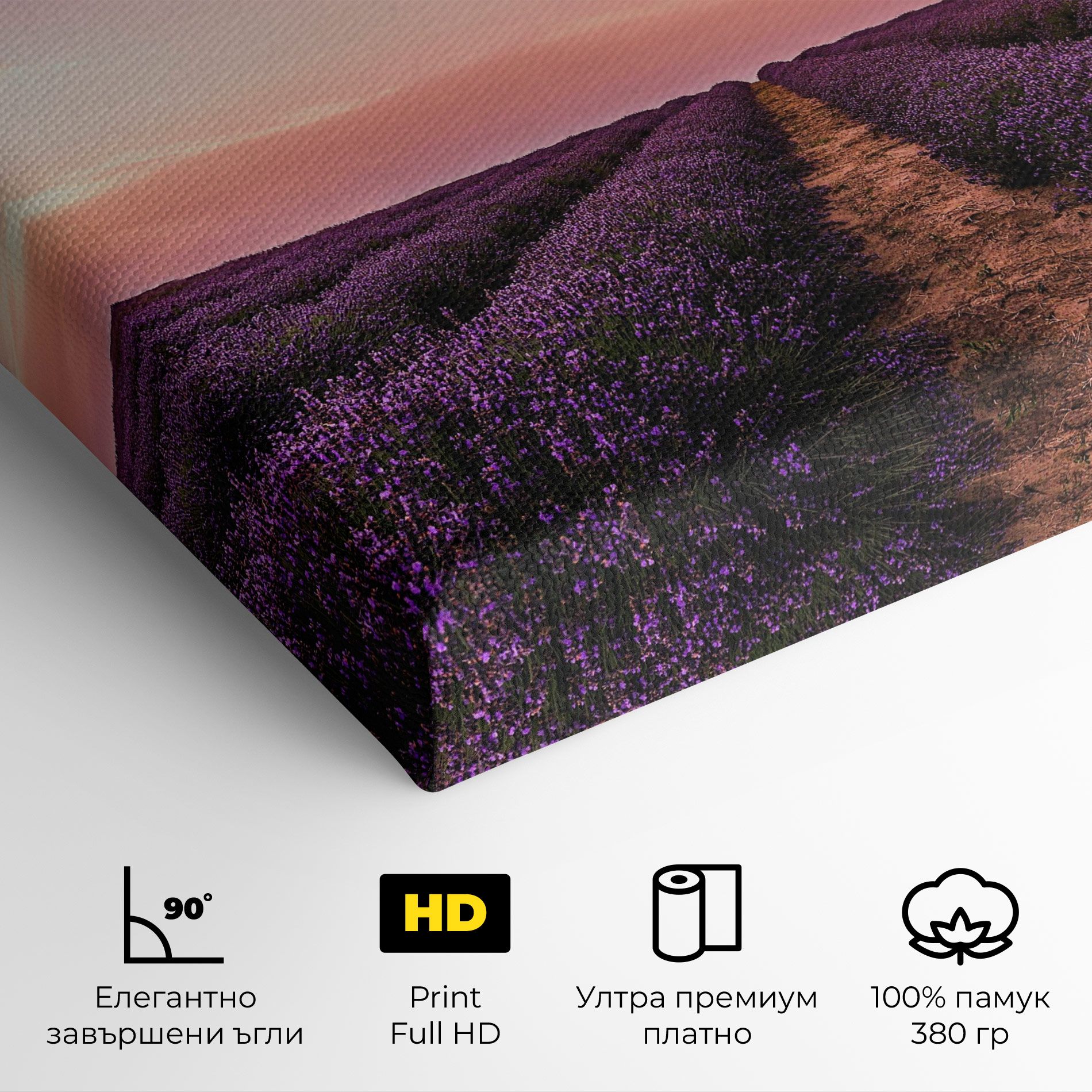Lavender Field mockup 4