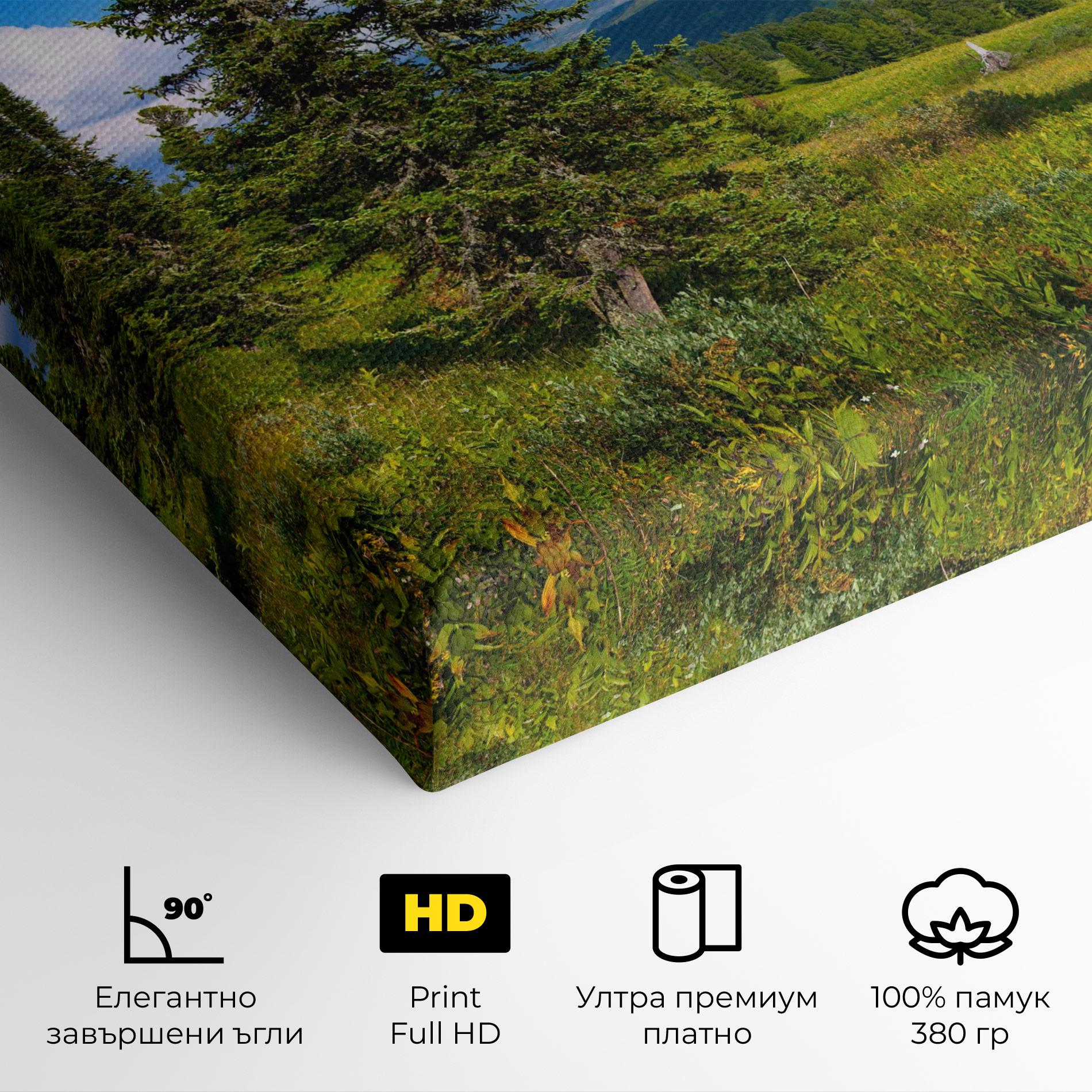 Картина на платно Morning Sunny Field mockup 4