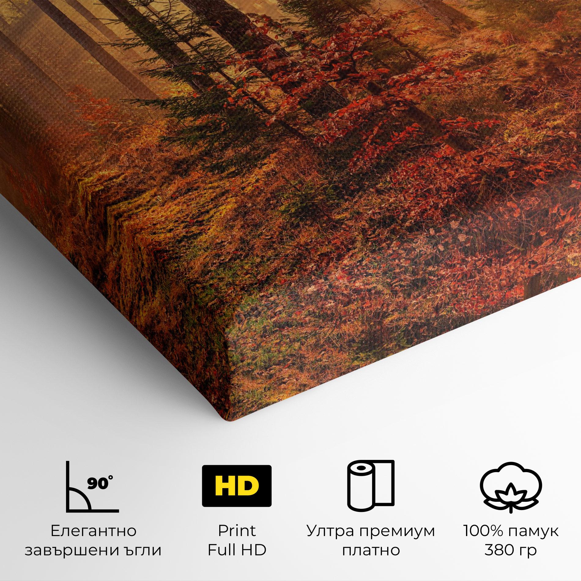 Картина на платно Orange Light Forest mockup 4
