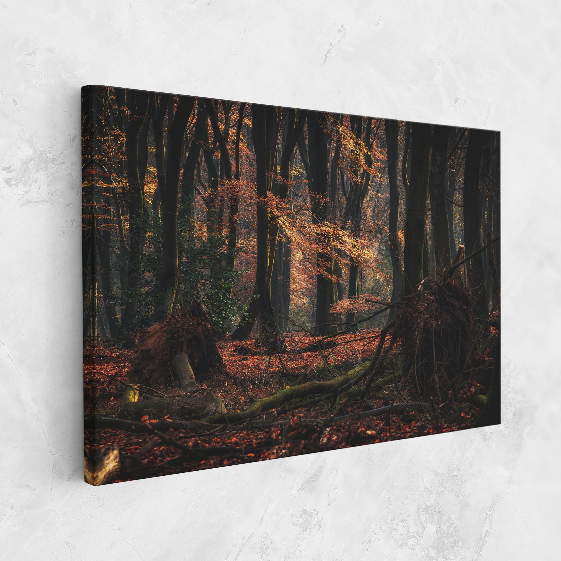 Autumn Forest Trees mockup 1