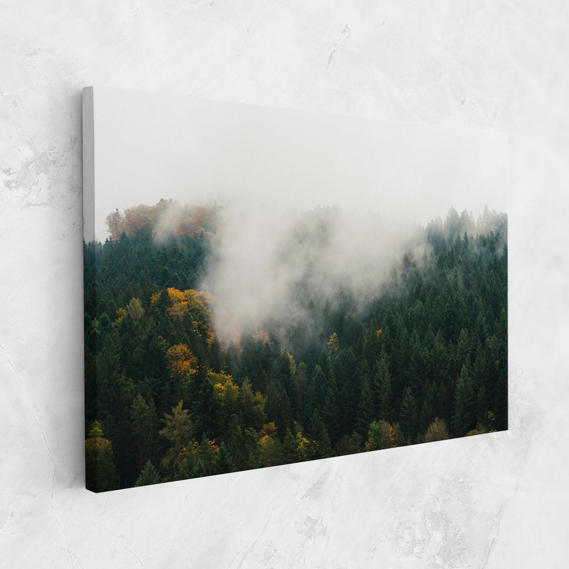 Картина на платно Foggy Tree Forest mockup 1