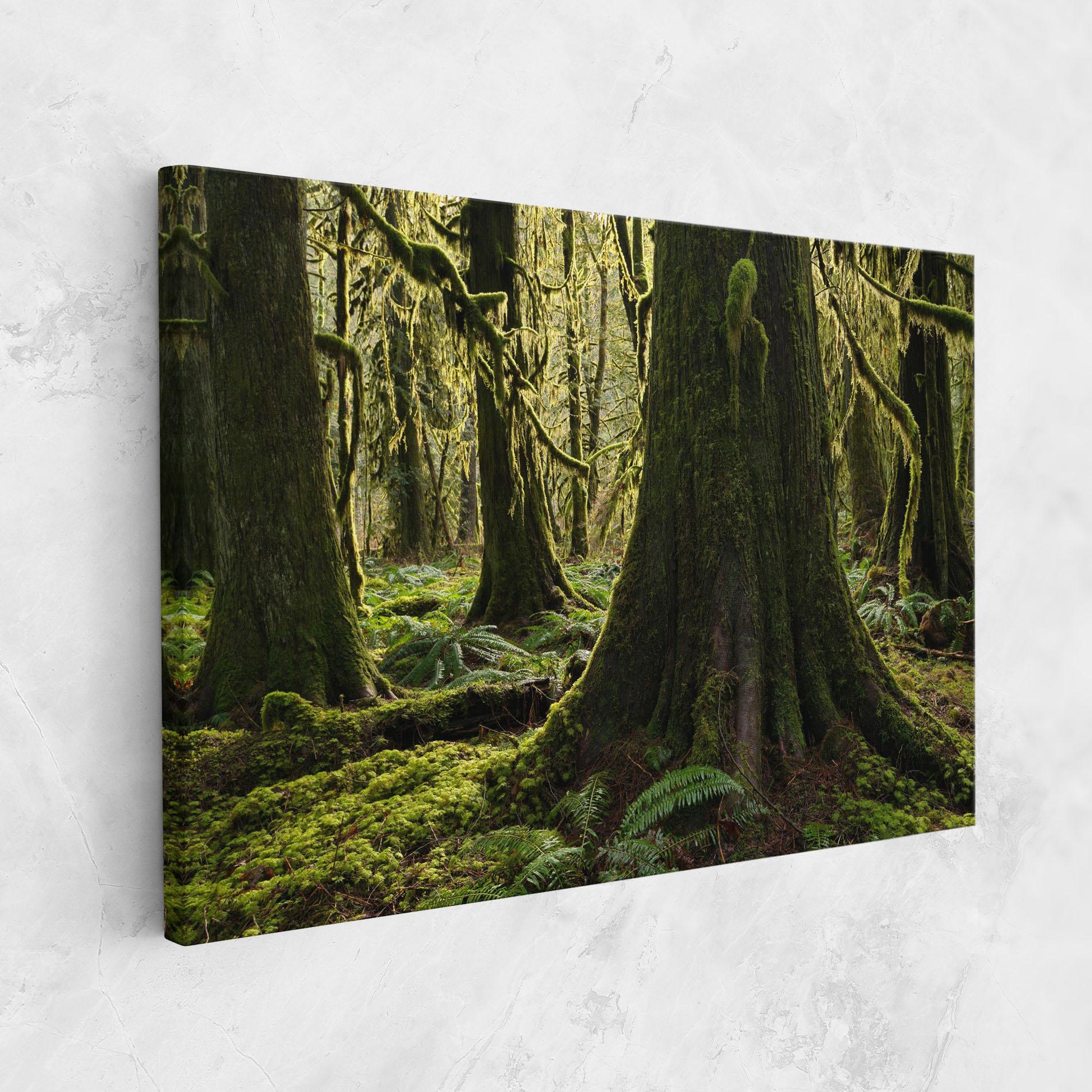 Картина на платно Green Moss Forest mockup 1
