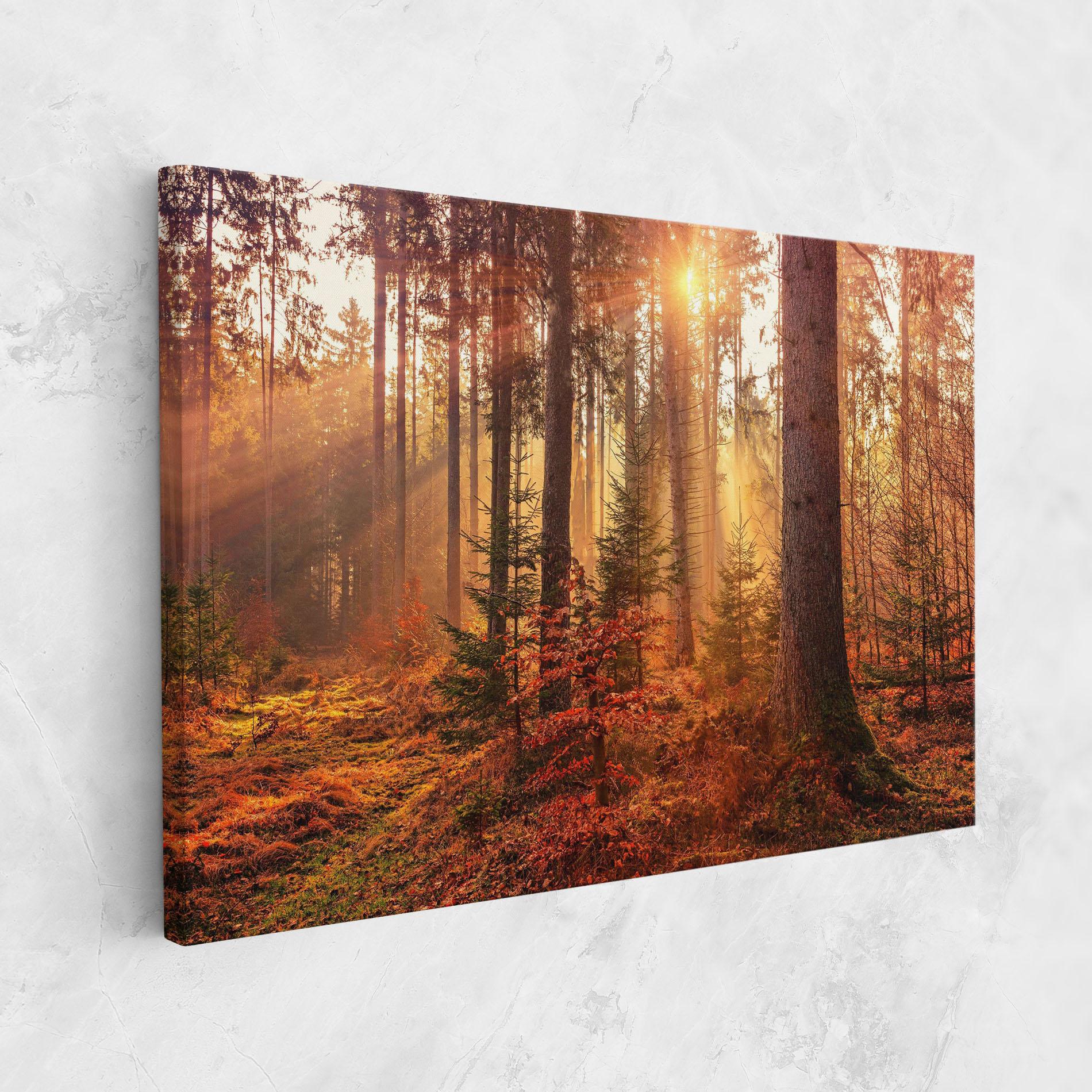 Картина на платно Orange Light Forest mockup 1