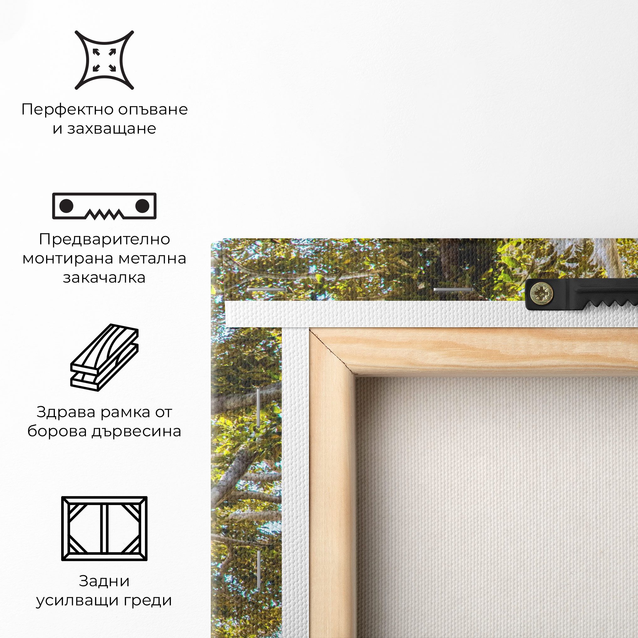 Big Old Tree mockup 5