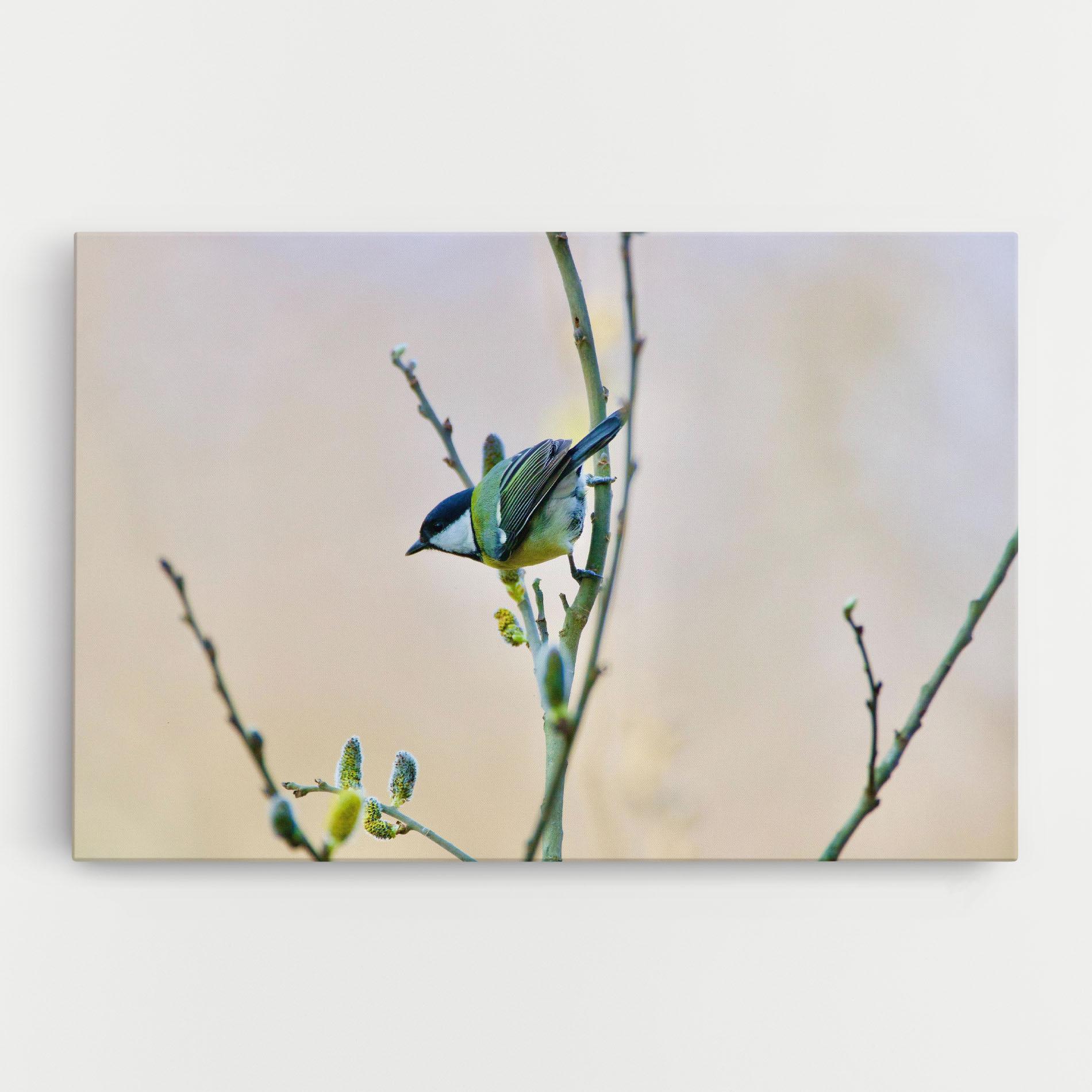 Картина на платно Beautiful Spring Bird mockup 0