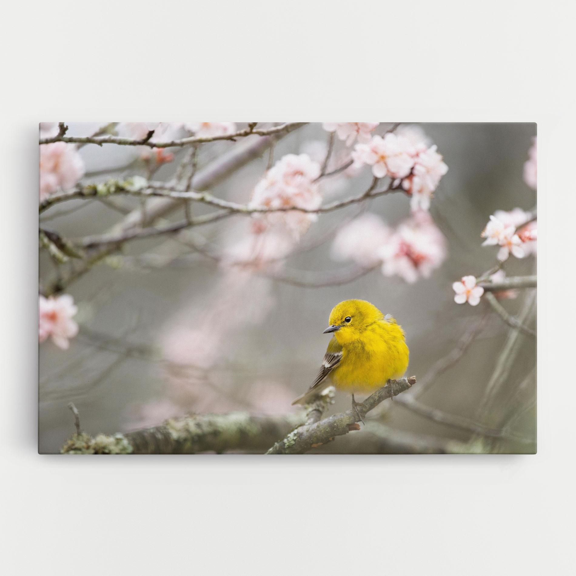 Картина на платно Pretty Spring Yellow Bird mockup 0