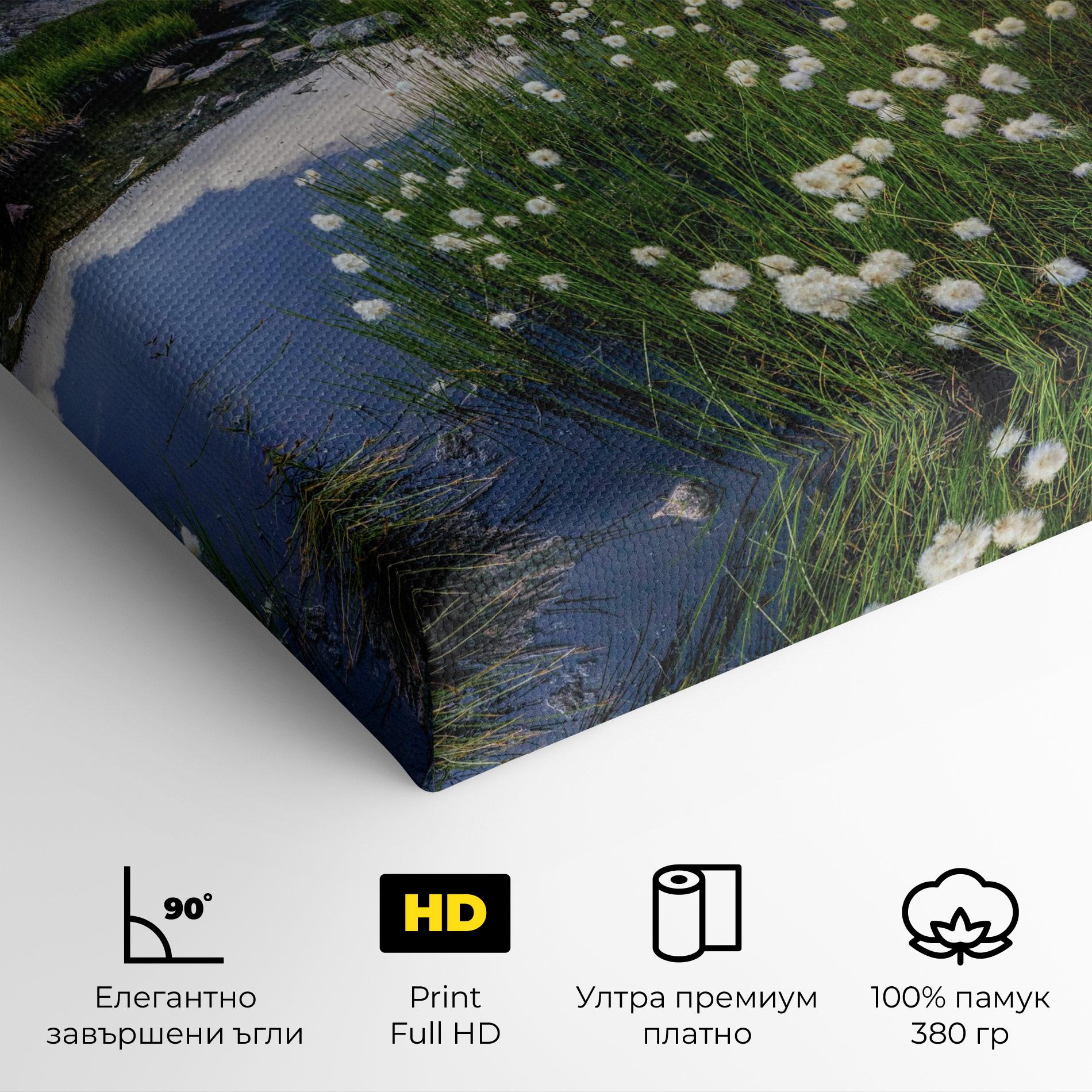 Картина на платно Lake Spring View mockup 4