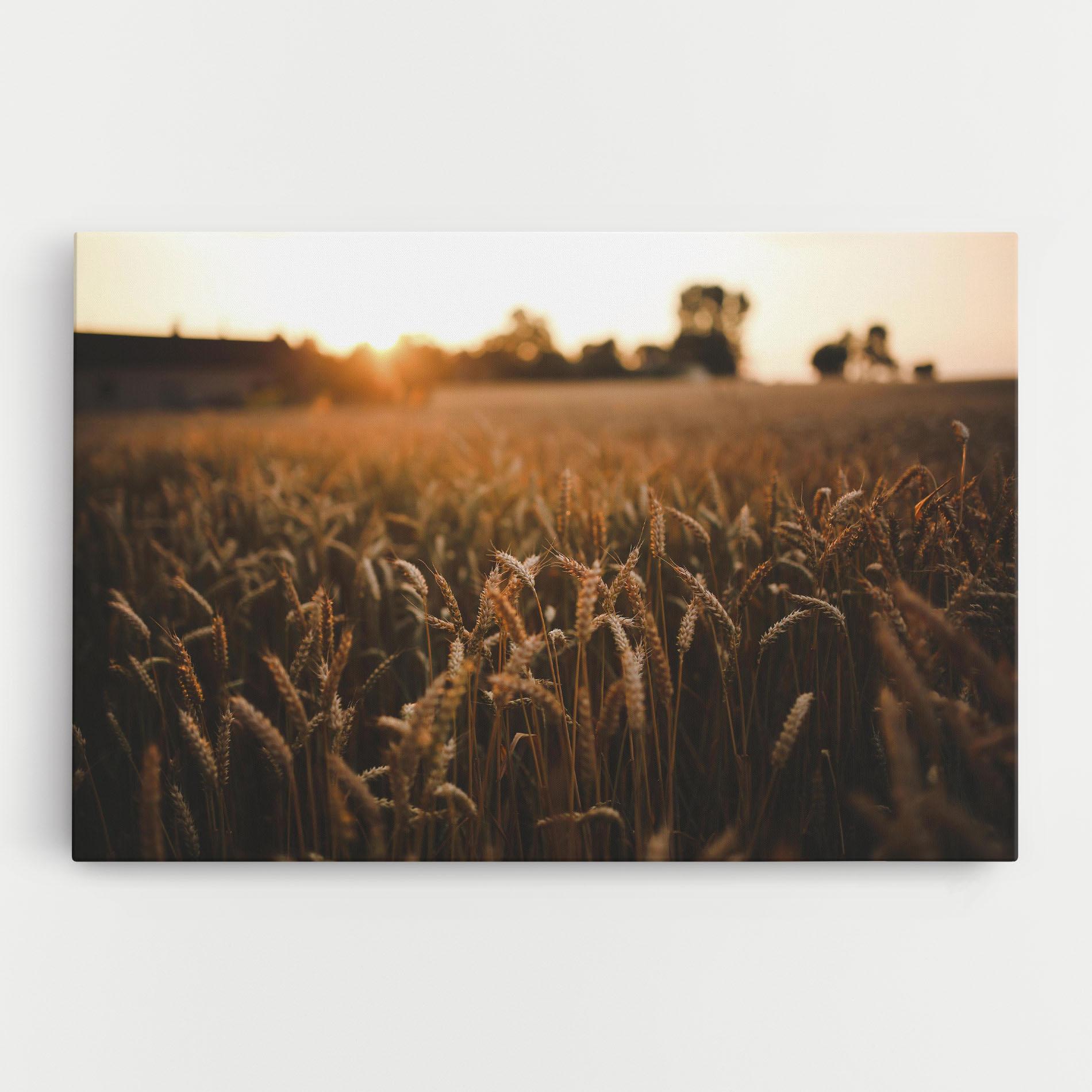 Картина на платно Summer Field mockup 0