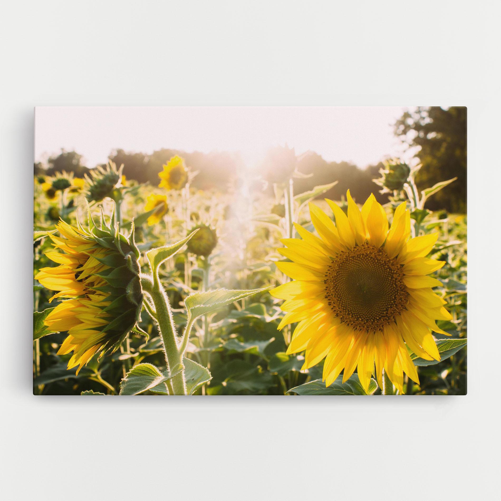 Картина на платно Yellow Sun Flower mockup 0