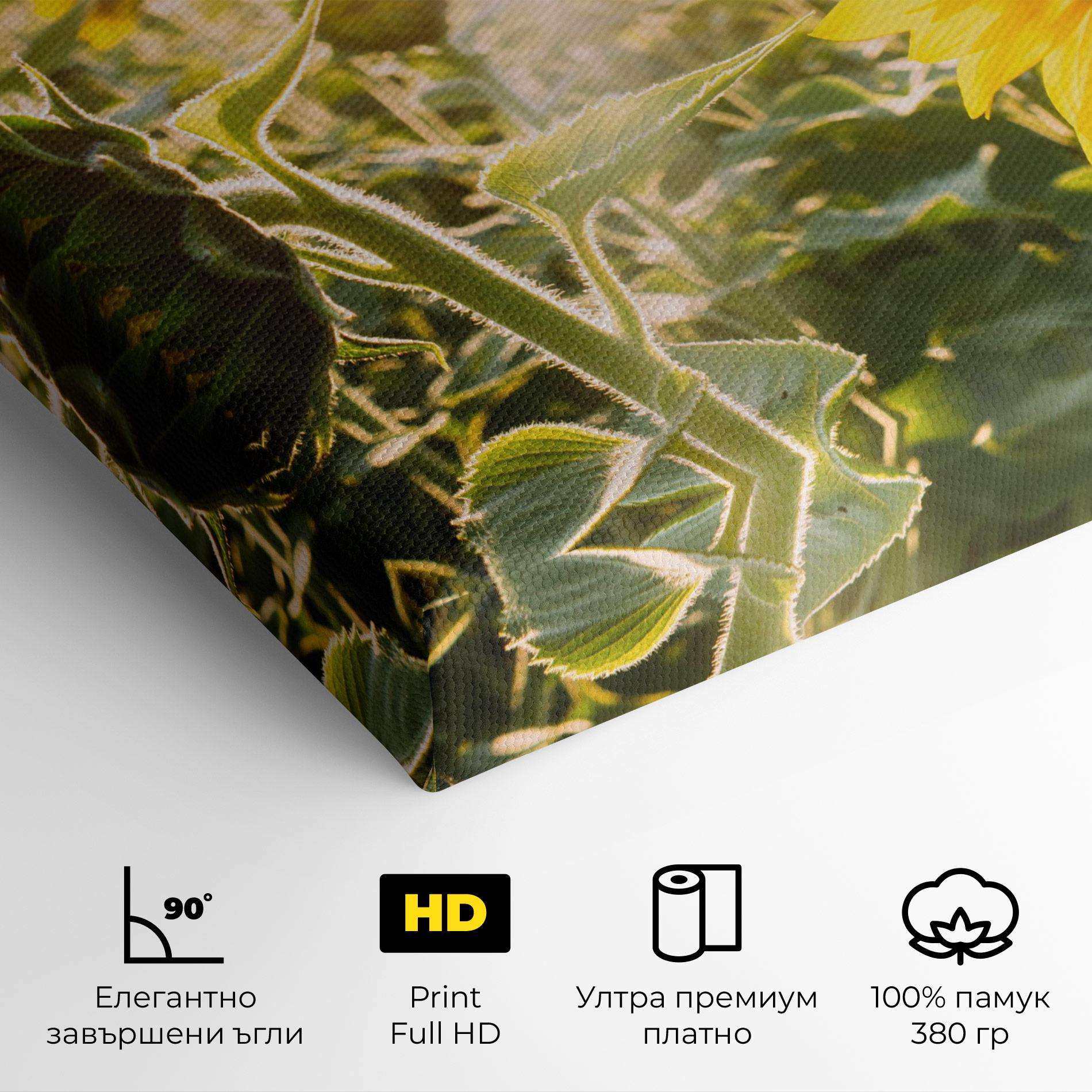 Картина на платно Yellow Sun Flower mockup 4