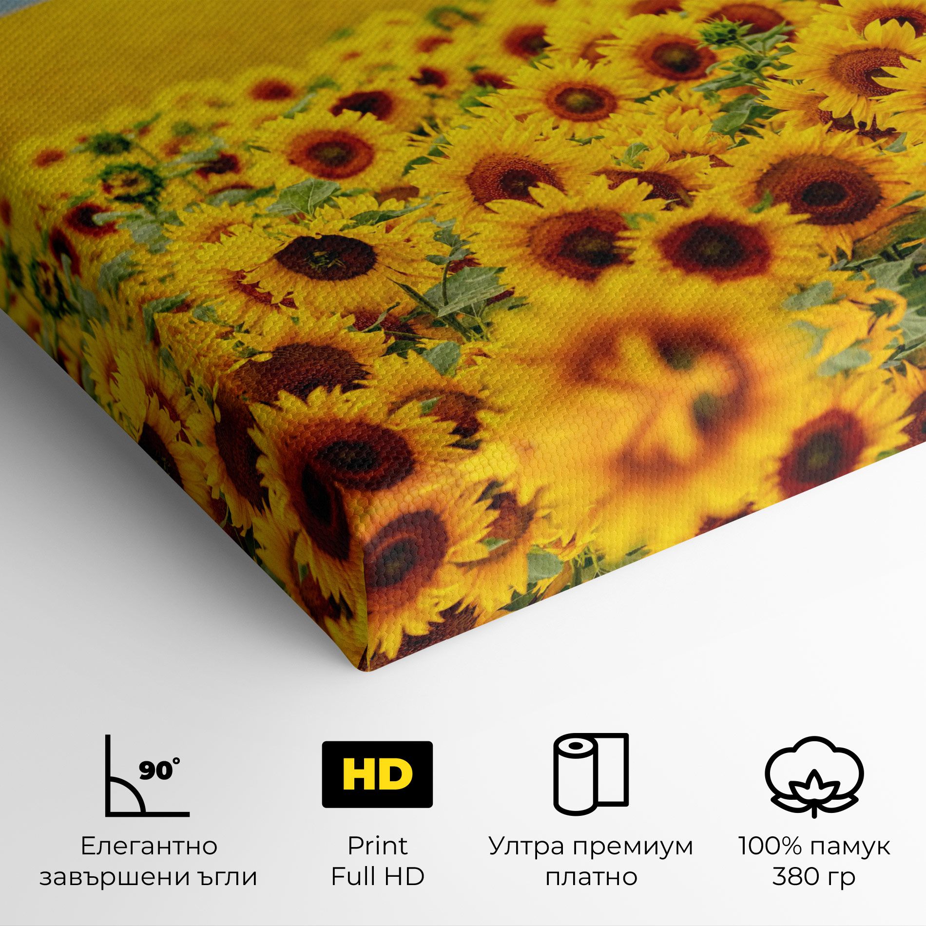 Yellow Sunflowers mockup 4