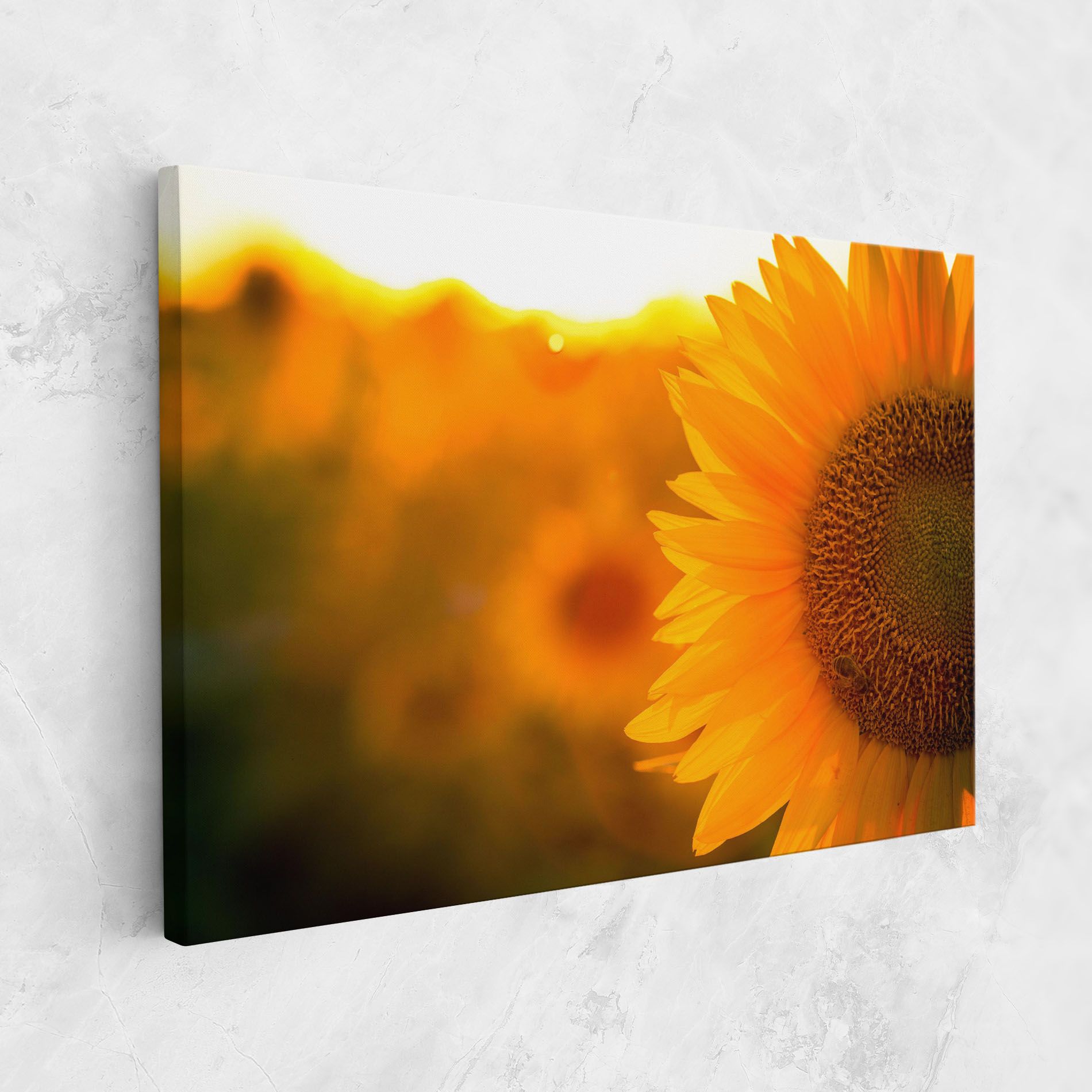 Sunflower mockup 1