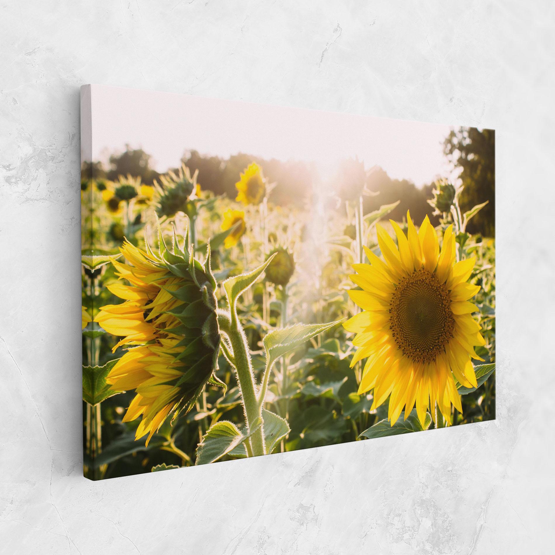 Картина на платно Yellow Sun Flower mockup 1