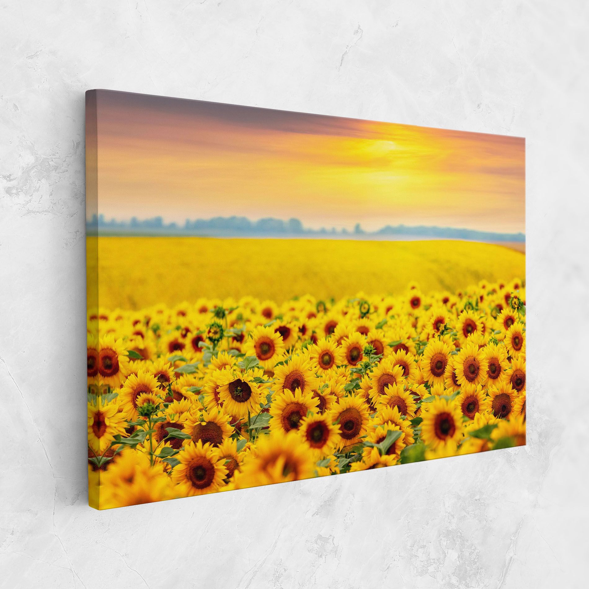 Yellow Sunflowers mockup 1