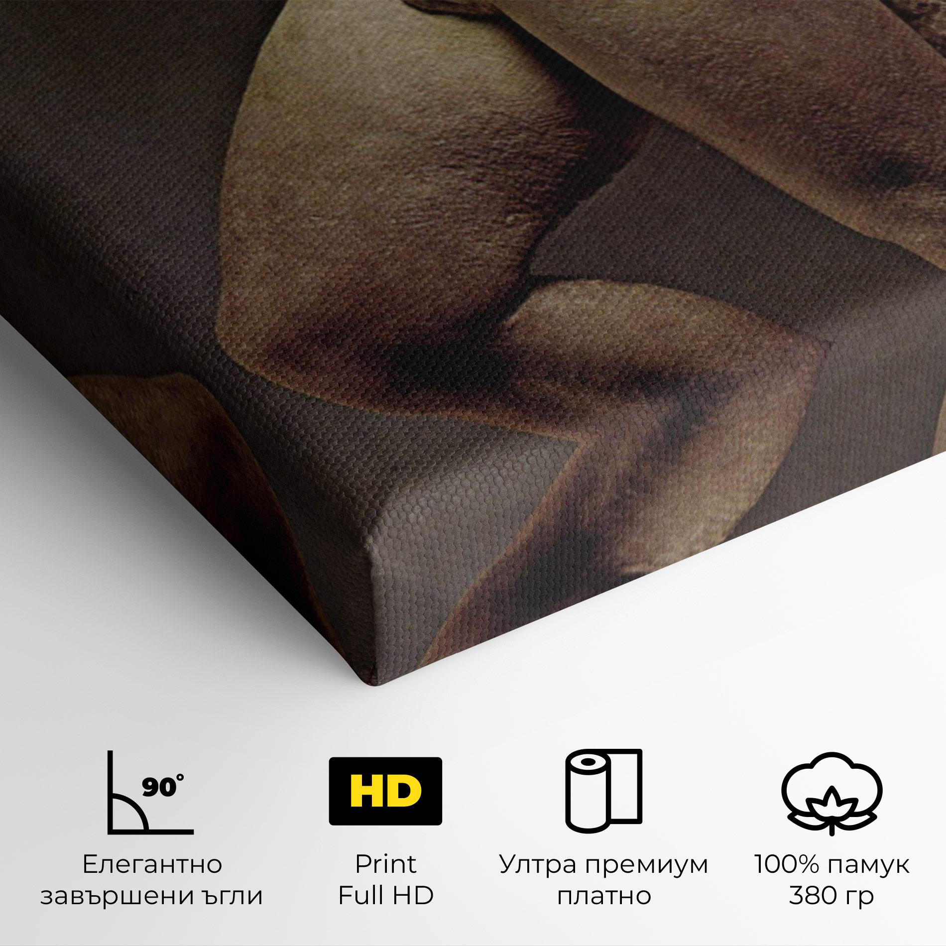 Картина на платно Apollino mockup 4