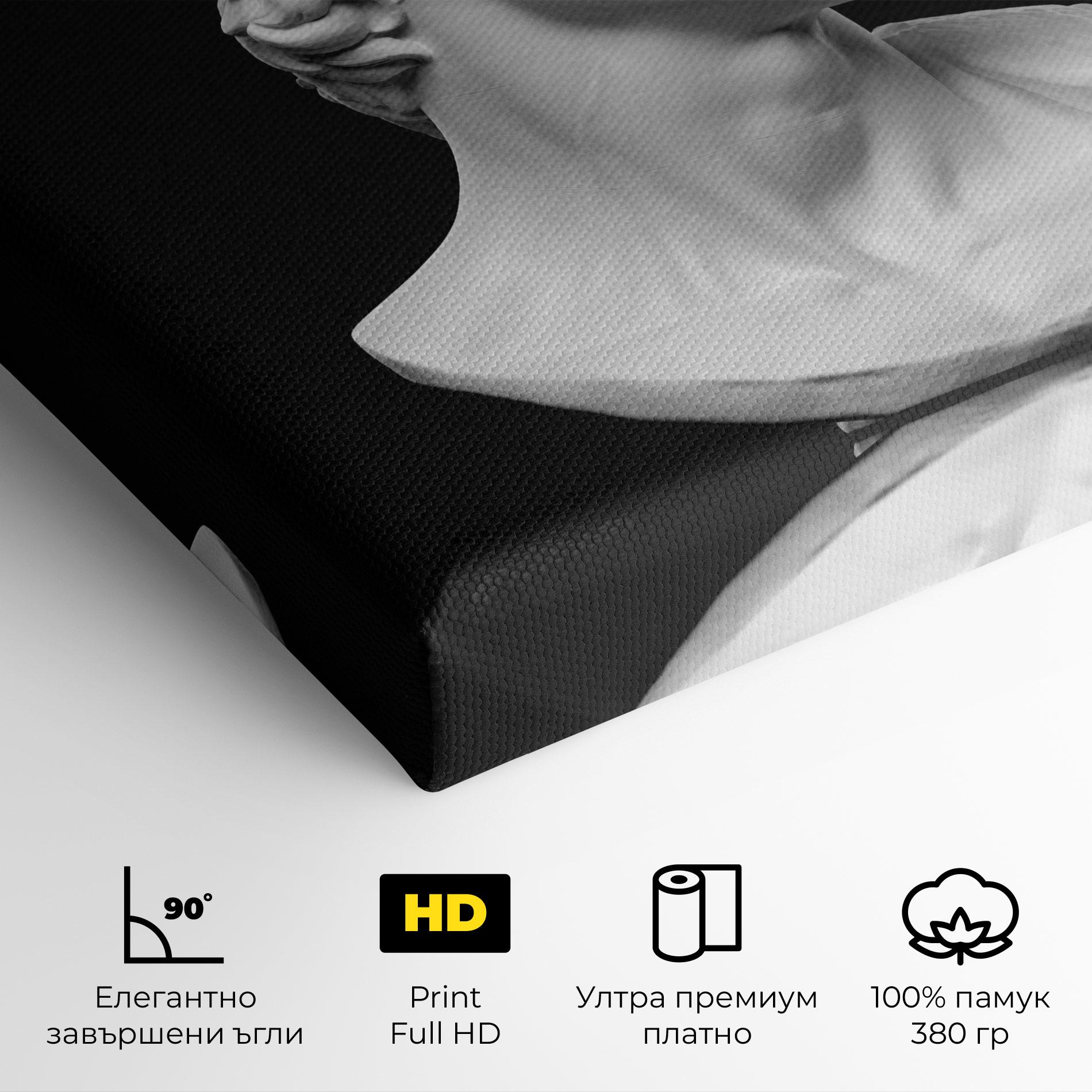 Картина на платно David Head mockup 4