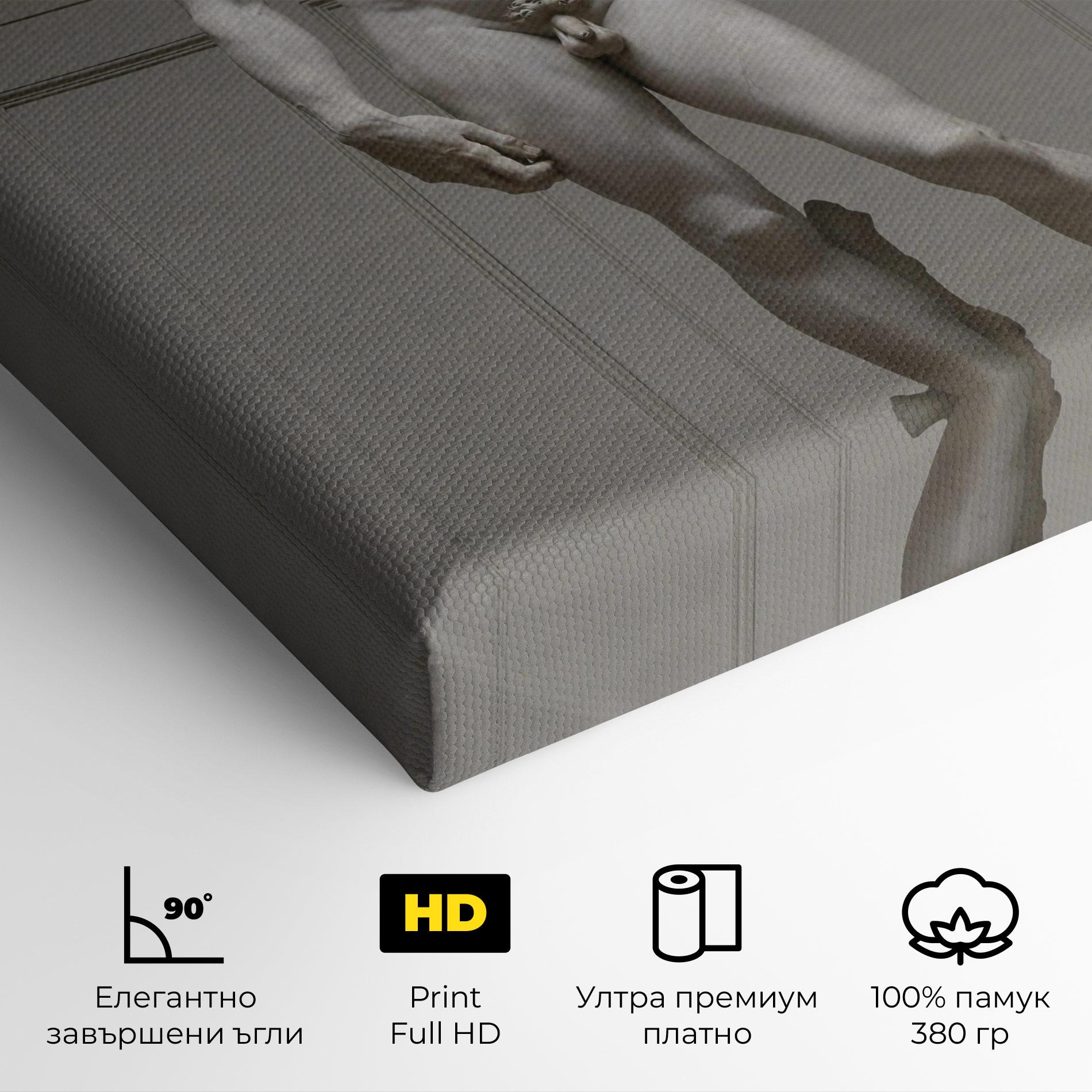 Картина на платно Michelangelo Statue mockup 4