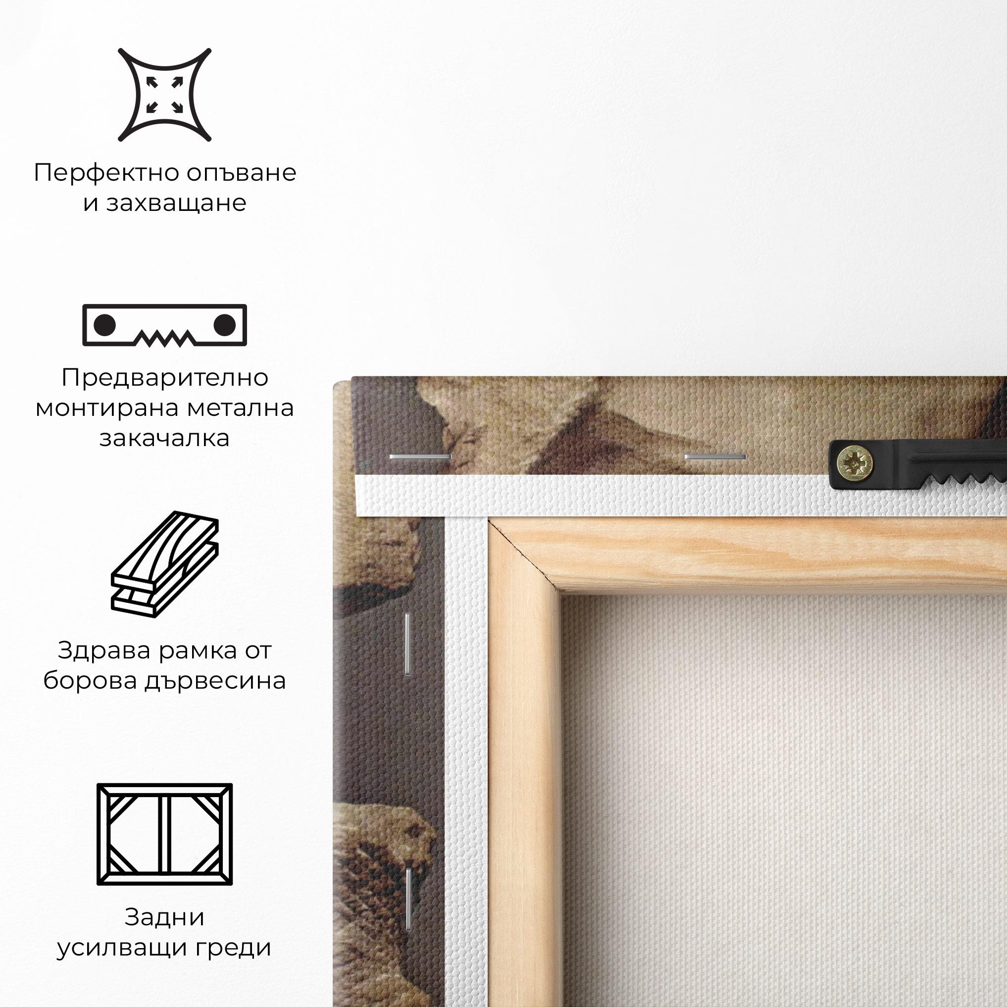 Картина на платно Apollino mockup 5