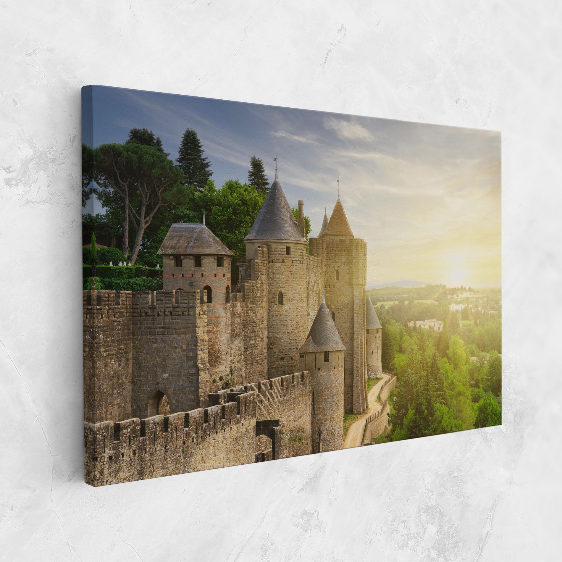 Carcassonne France mockup 1