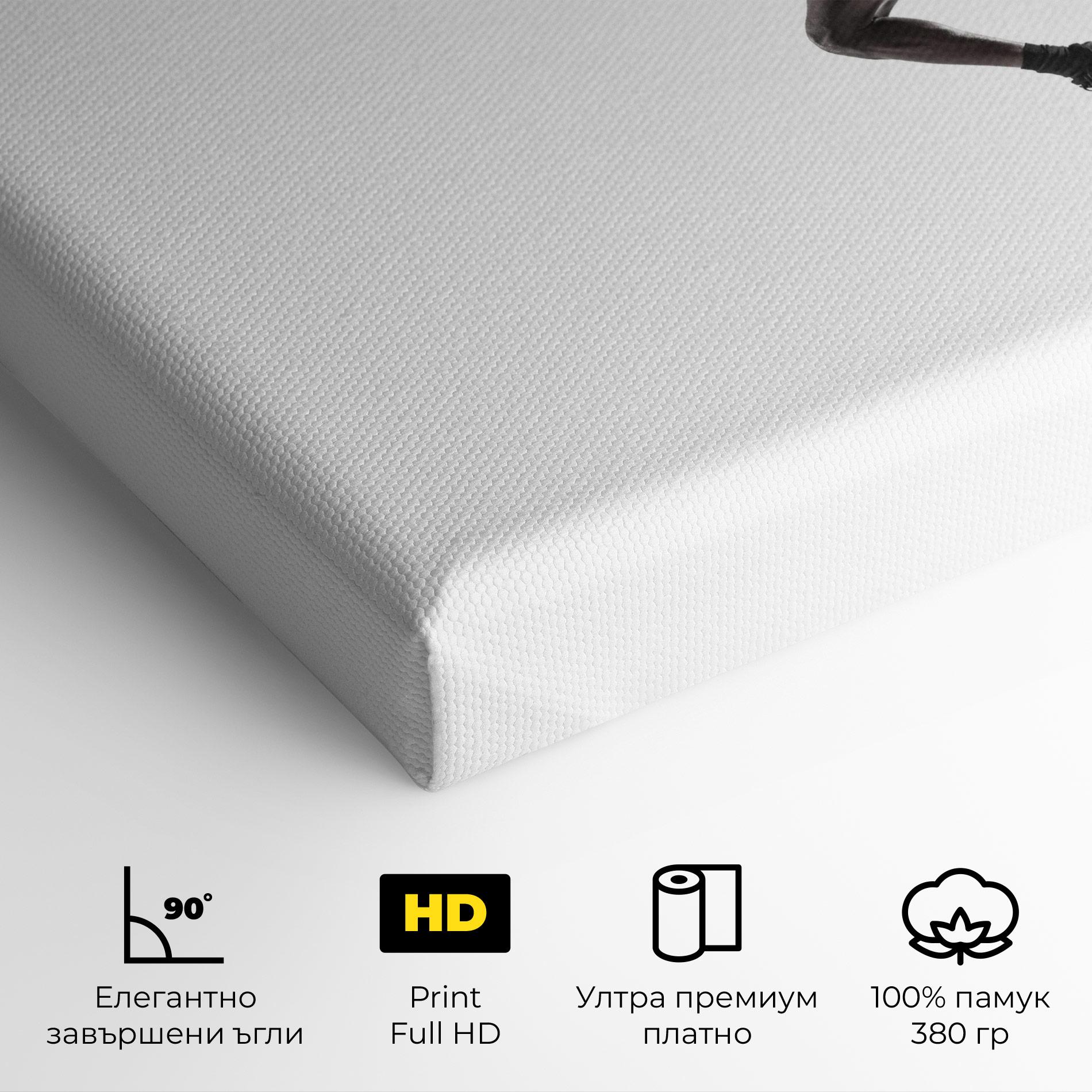 Картина на платно Basketball Player Flying mockup 4