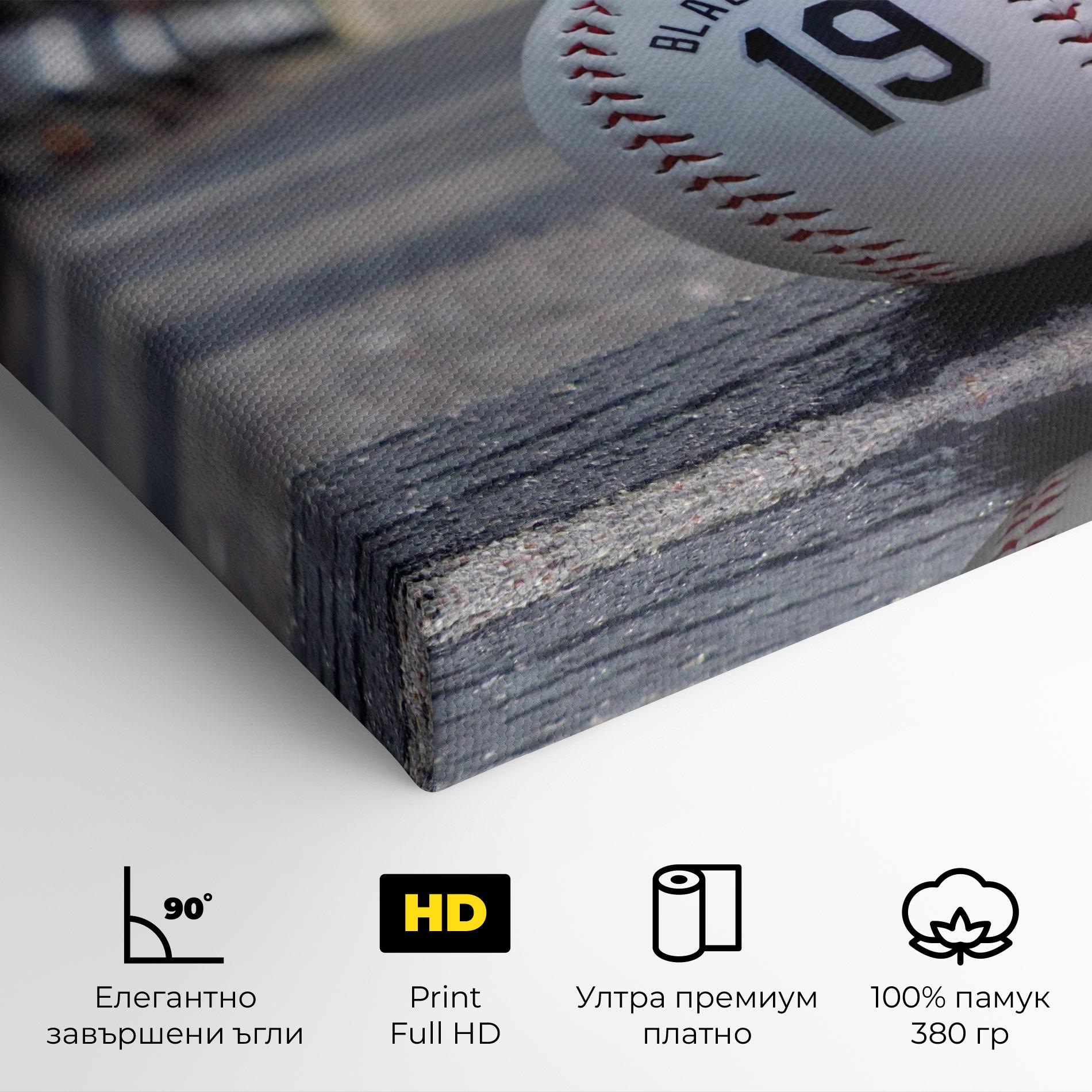 Картина на платно Baseball Nr 19 mockup 4