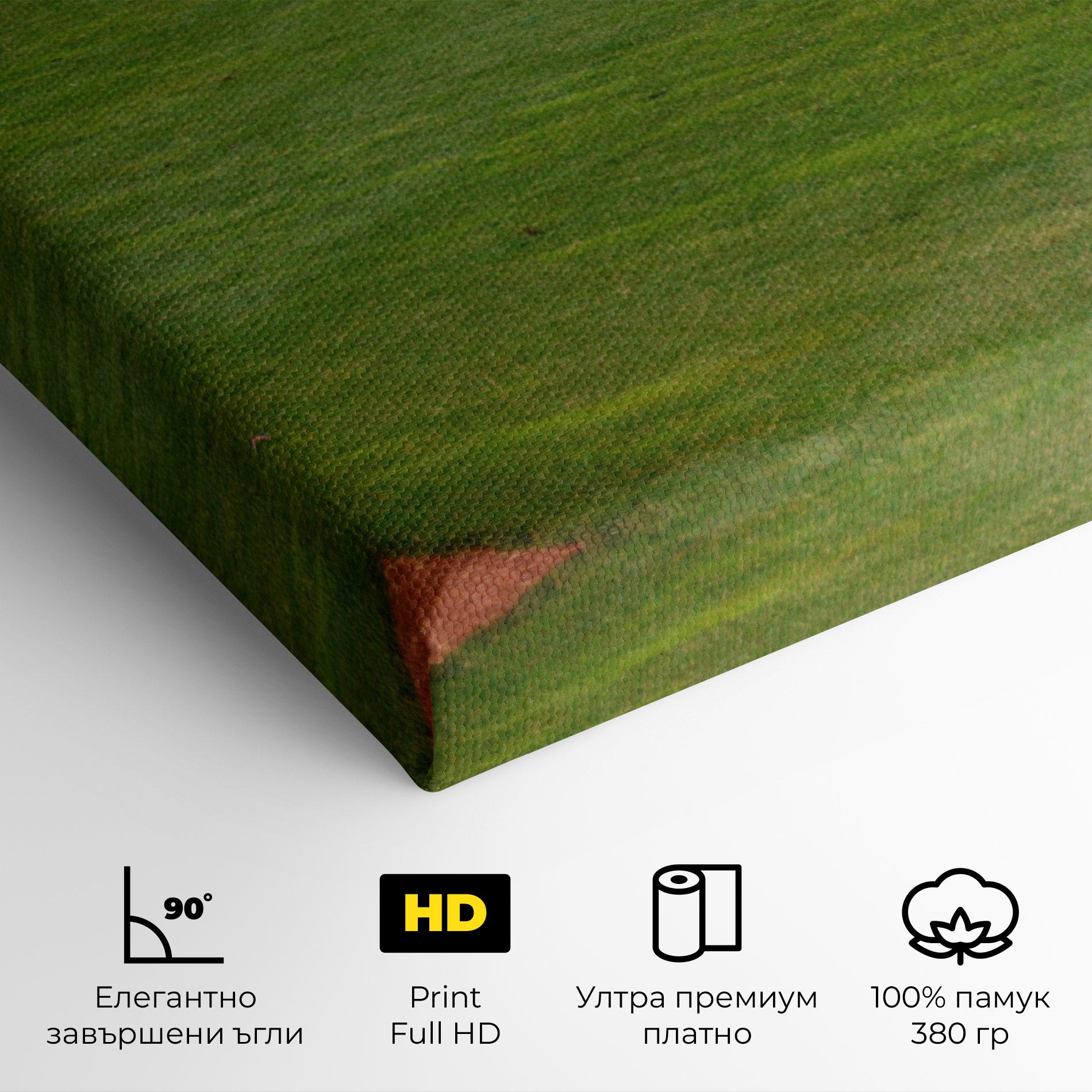 Картина на платно Baseball Player mockup 4