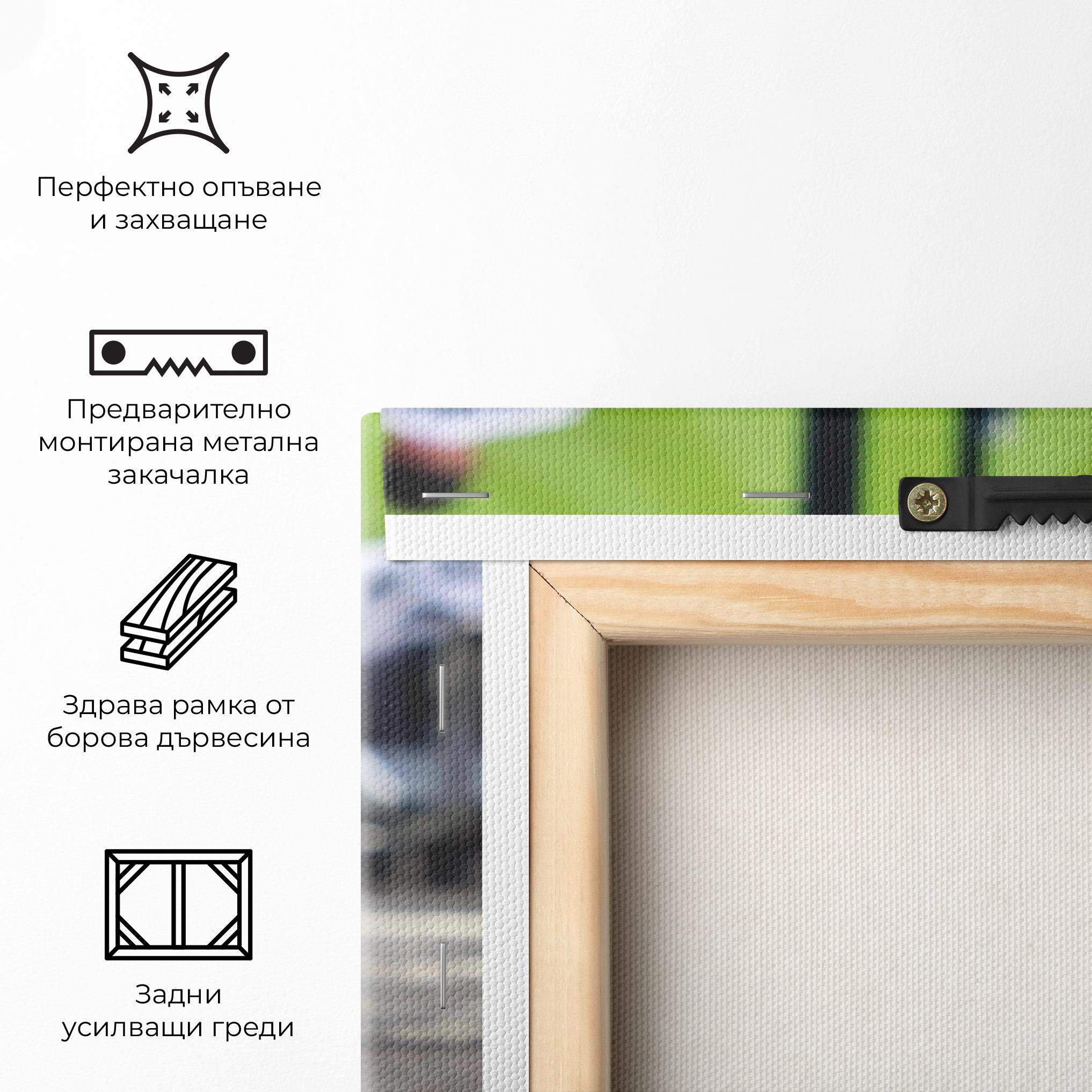 Картина на платно Baseball Nr 19 mockup 5