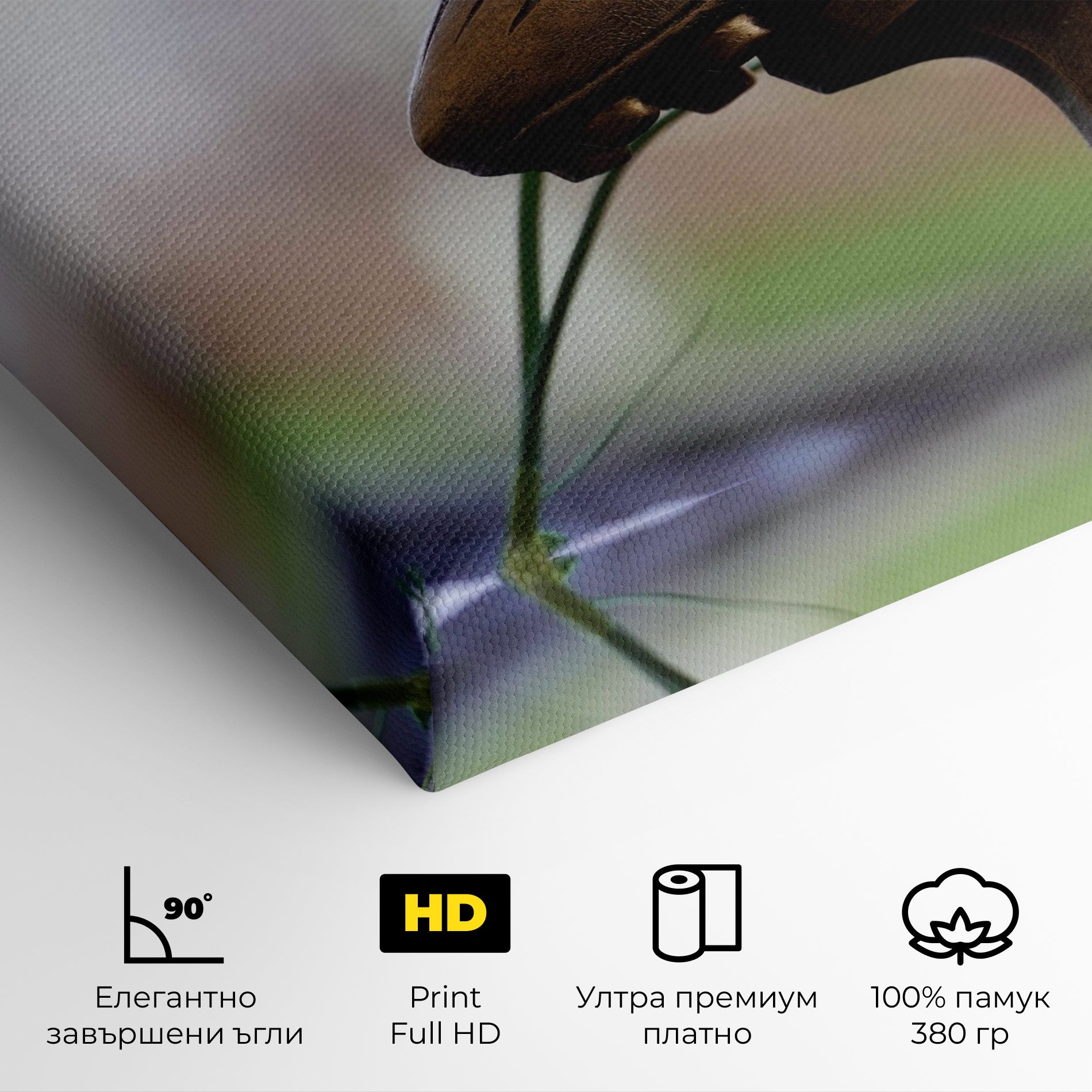 Football Award mockup 4