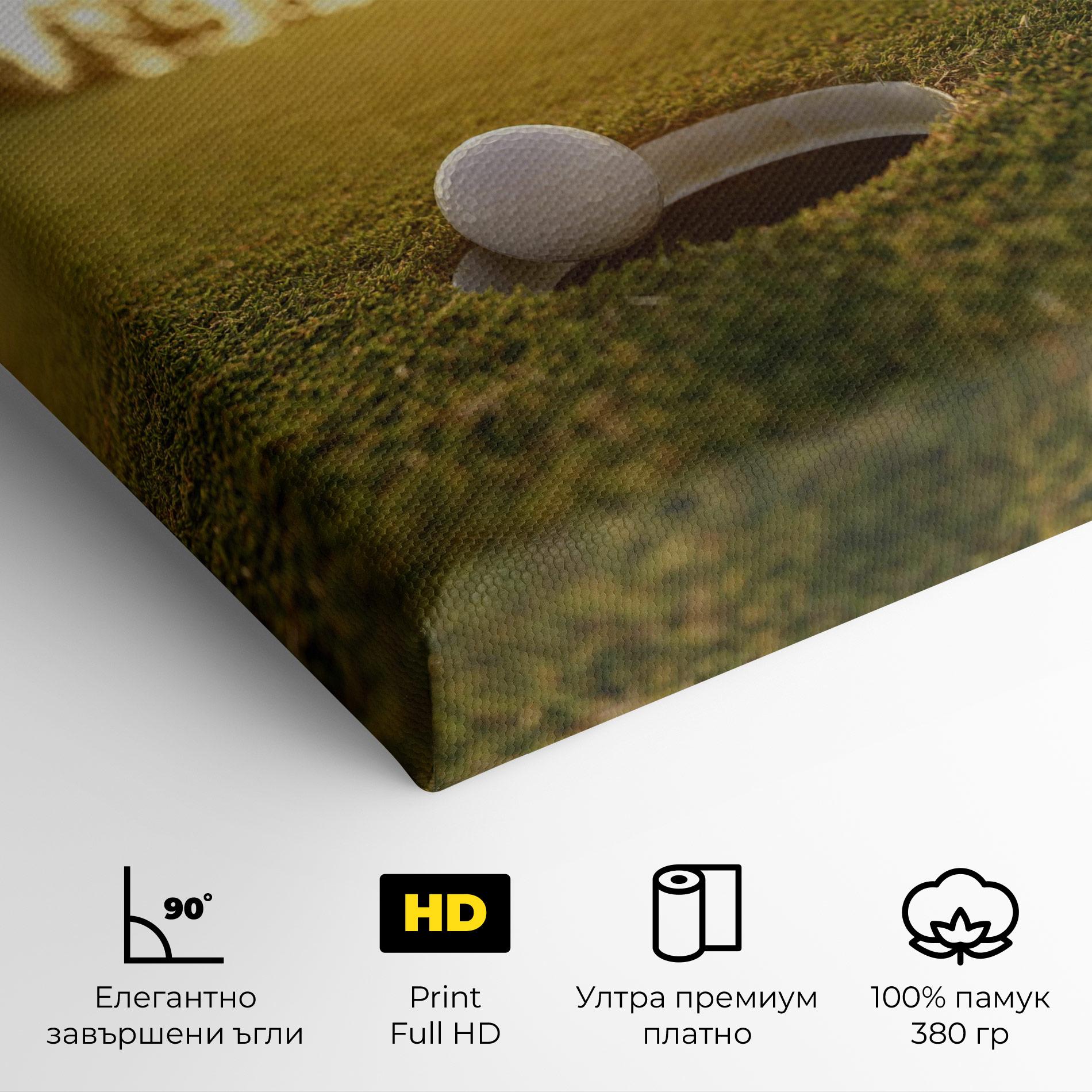 Картина на платно Golfer Concept mockup 4