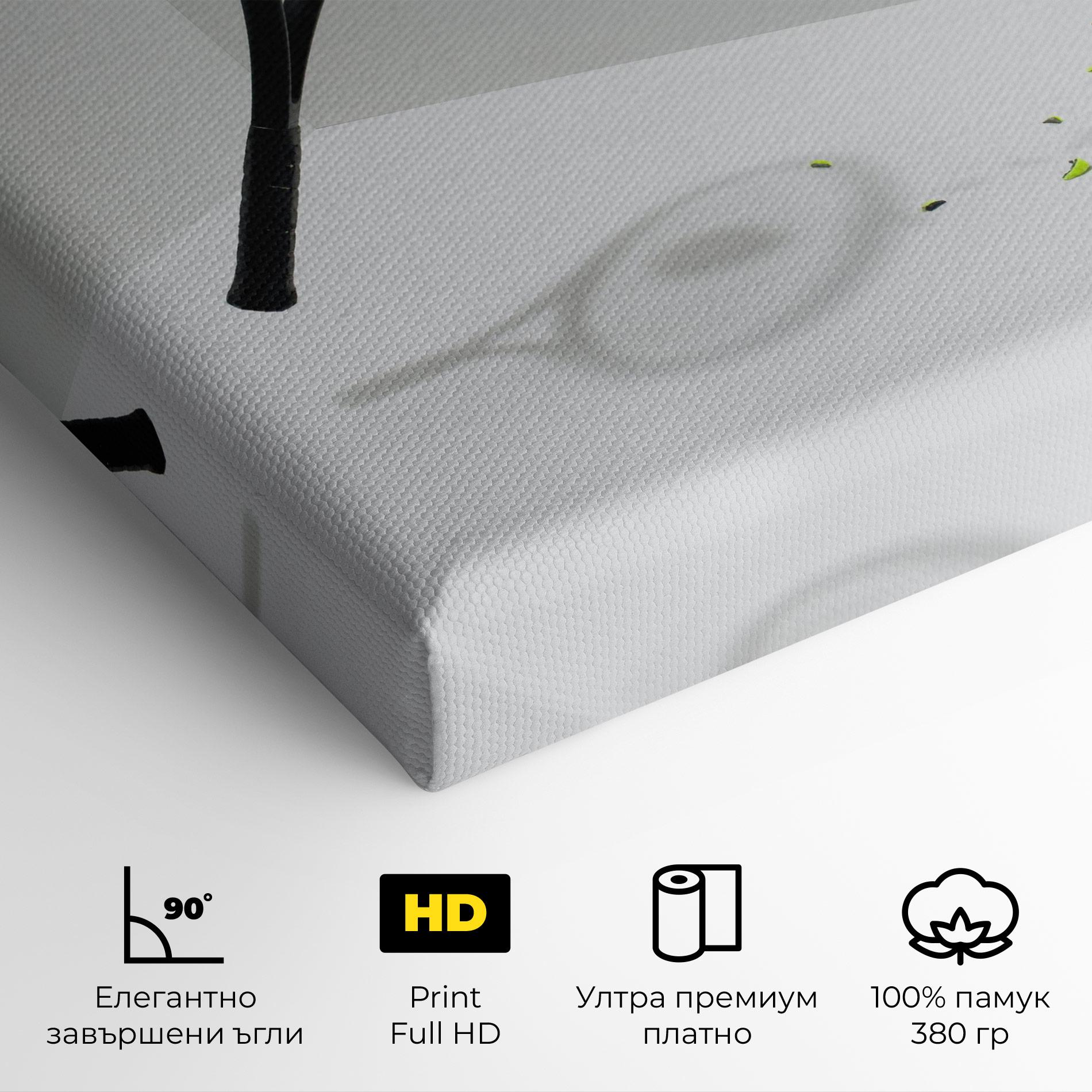 Картина на платно Broken Tennis Ball mockup 4