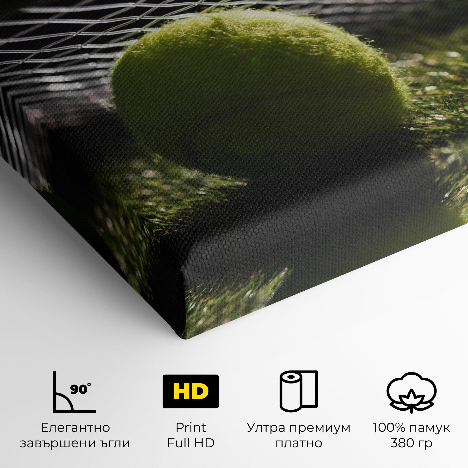 Картина на платно Close Up Tennis Ball mockup 4
