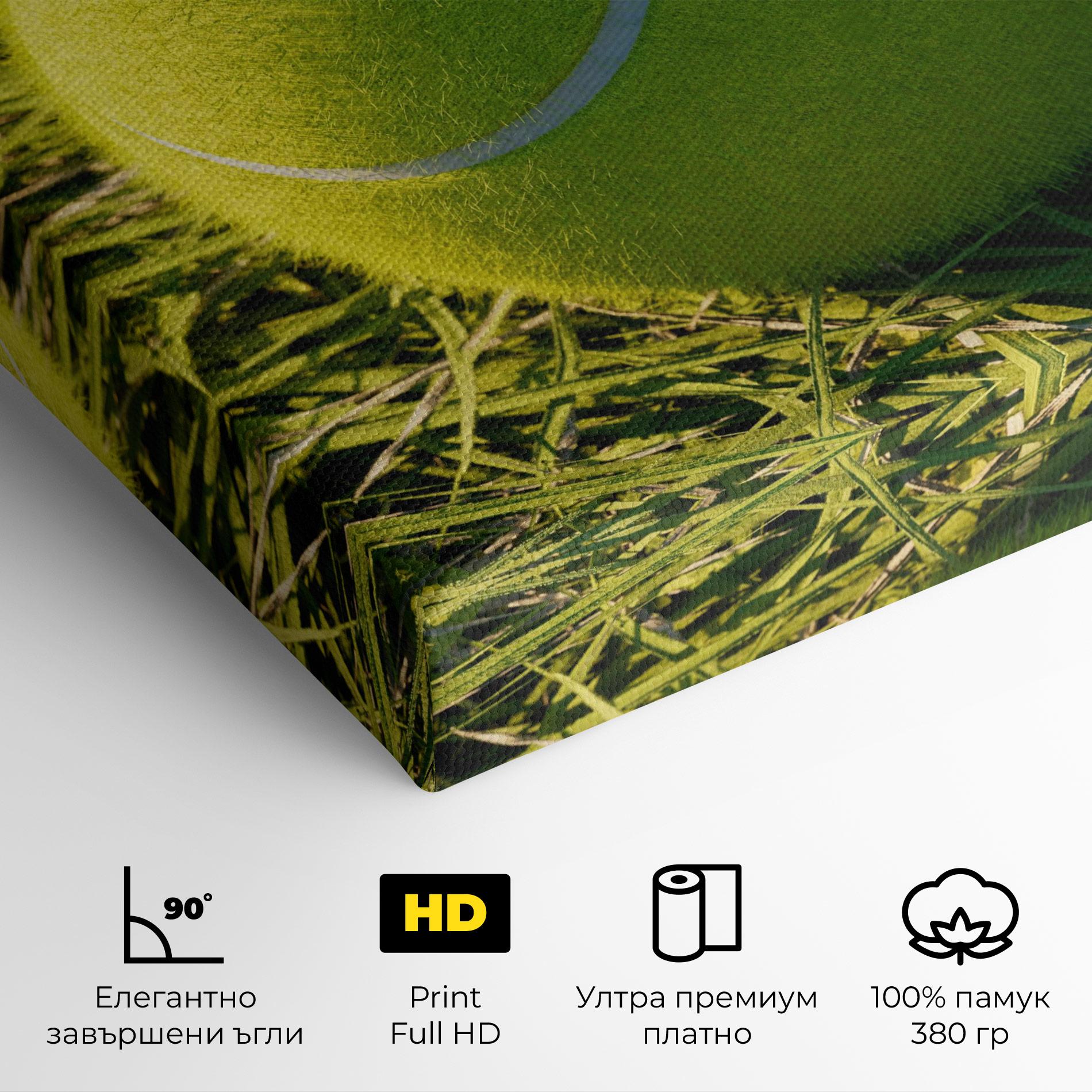 Картина на платно Green Tennis Ball mockup 4