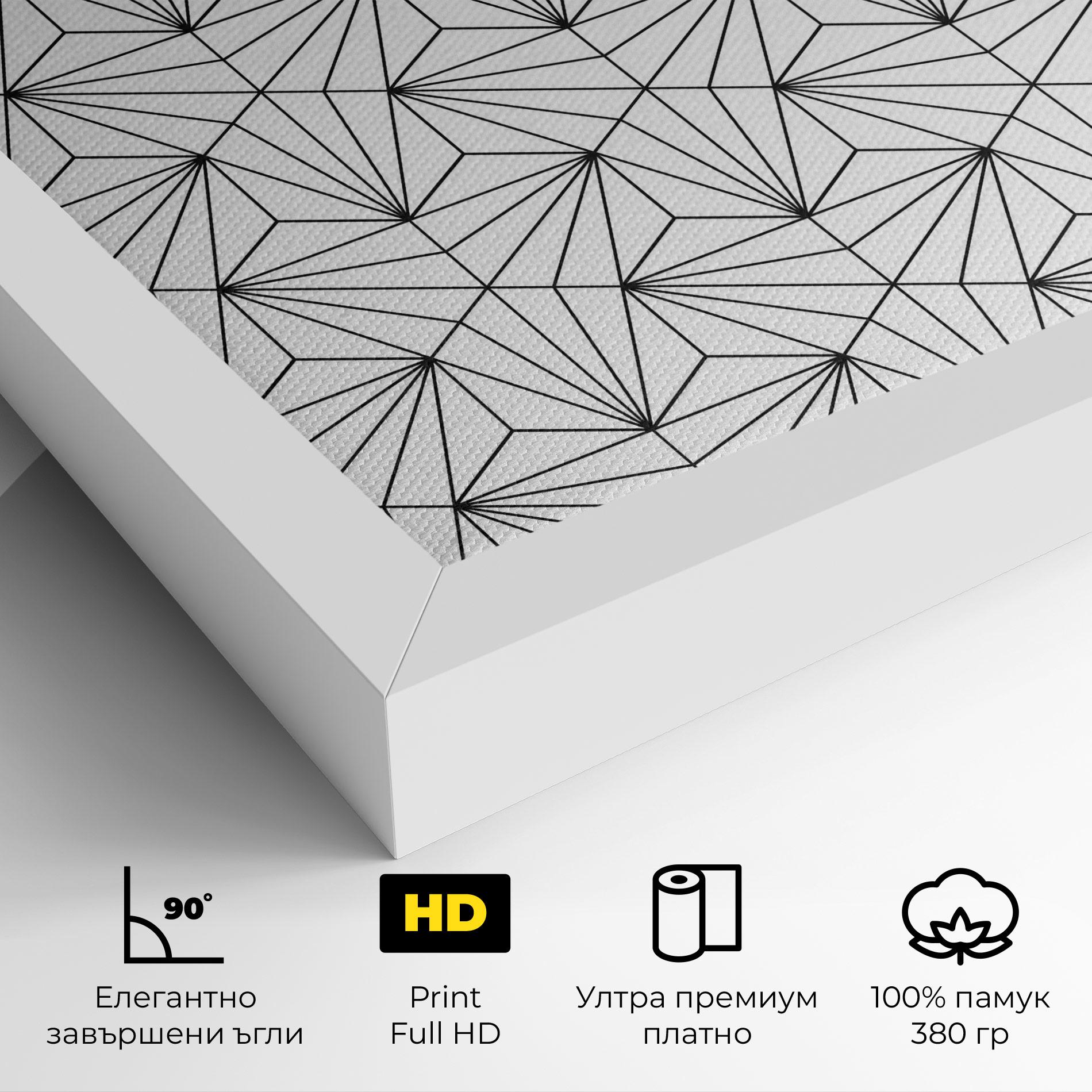 Картина на платно Black Triangle mockup 4