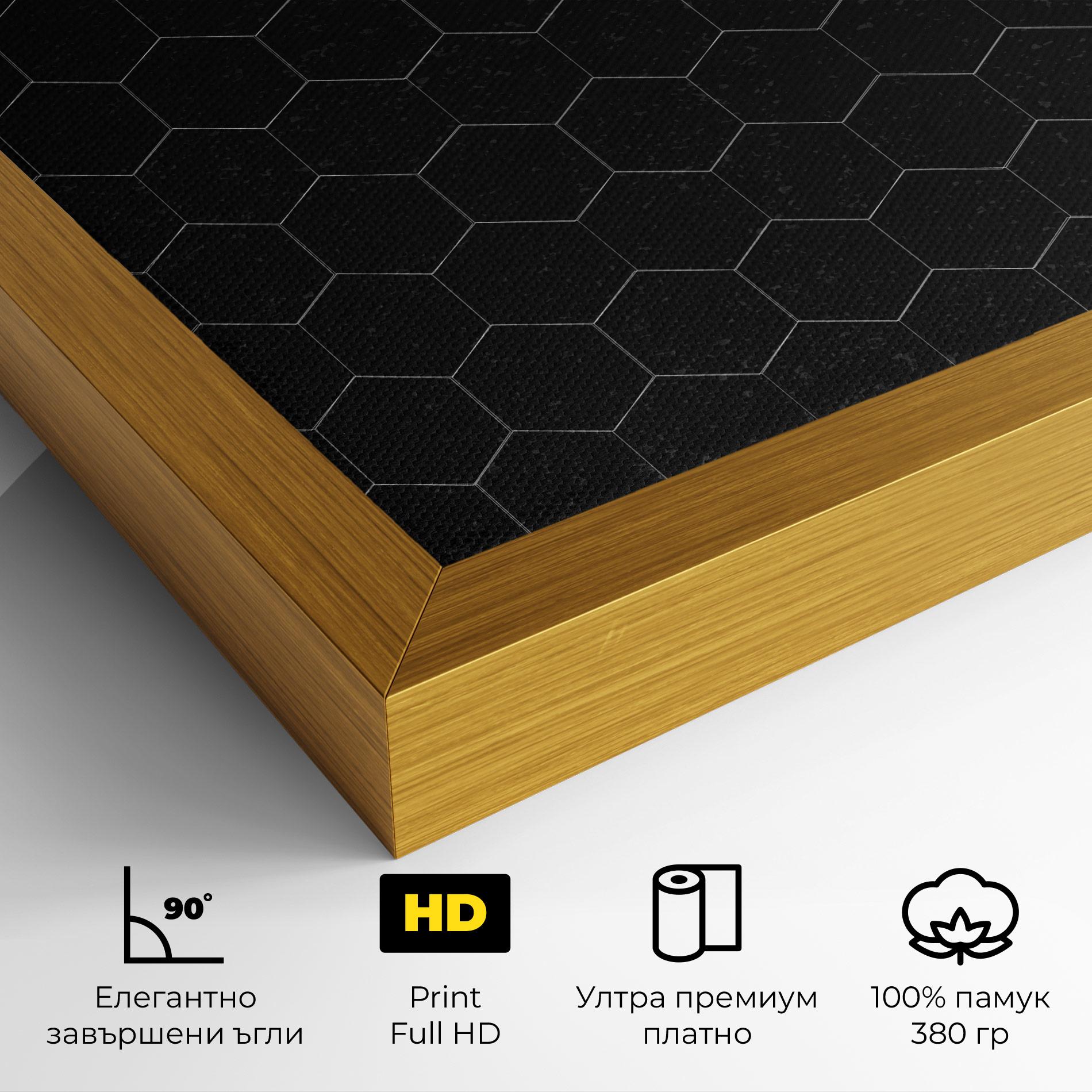 Картина на платно Black Hexagon mockup 4