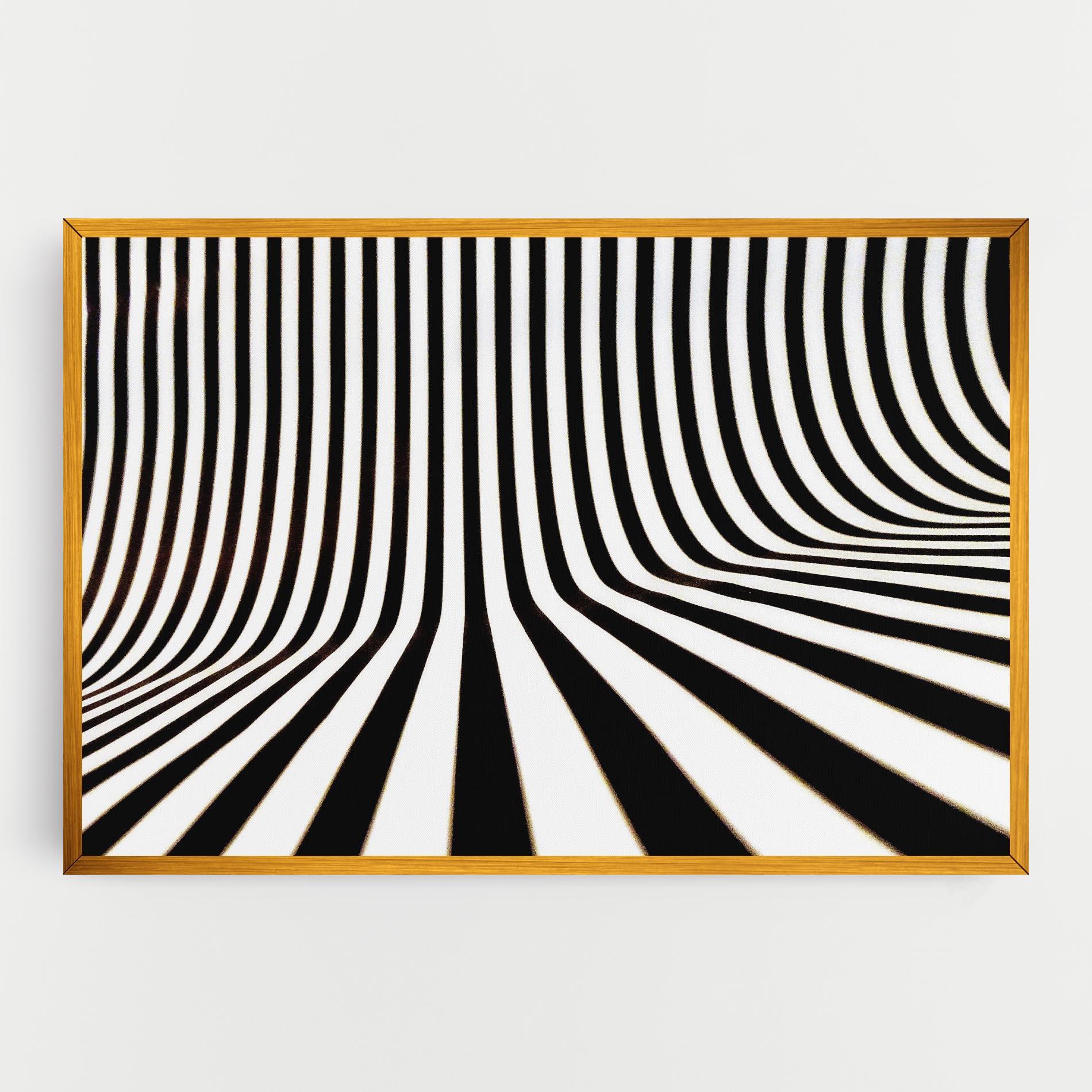 Картина на платно Black And White Illusion mockup 0