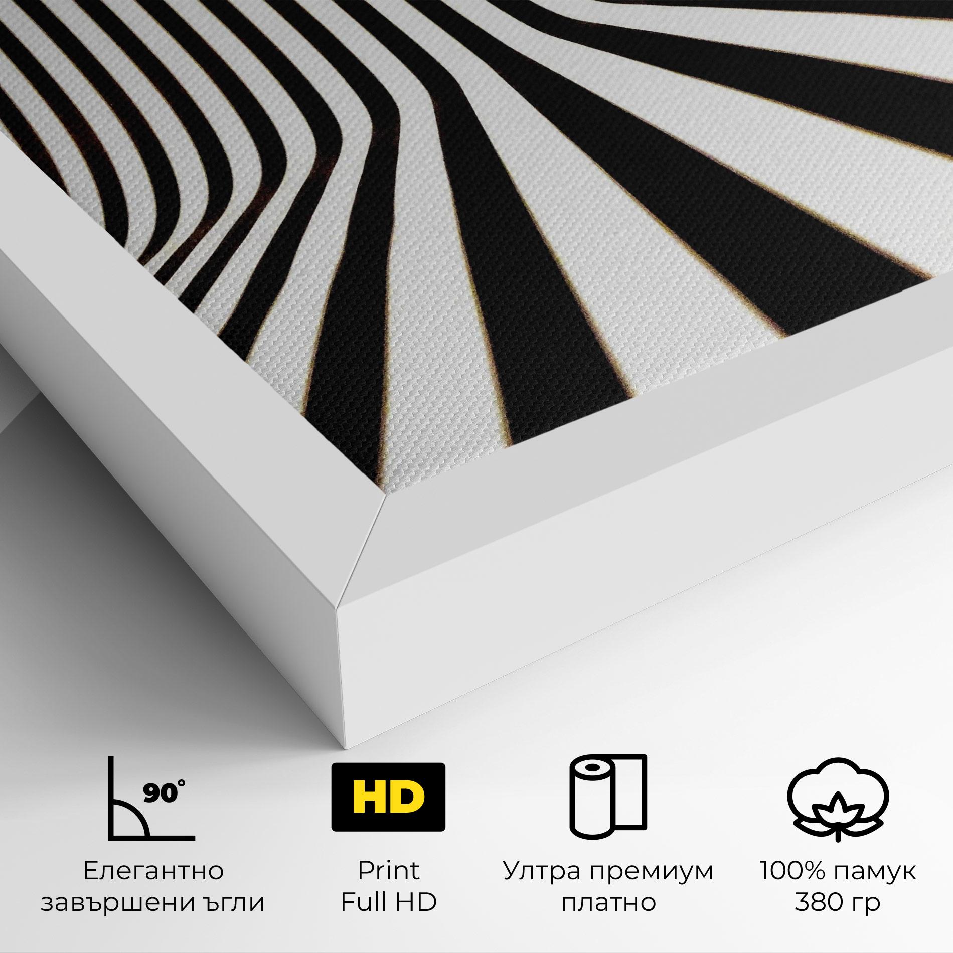 Картина на платно Black And White Illusion mockup 4