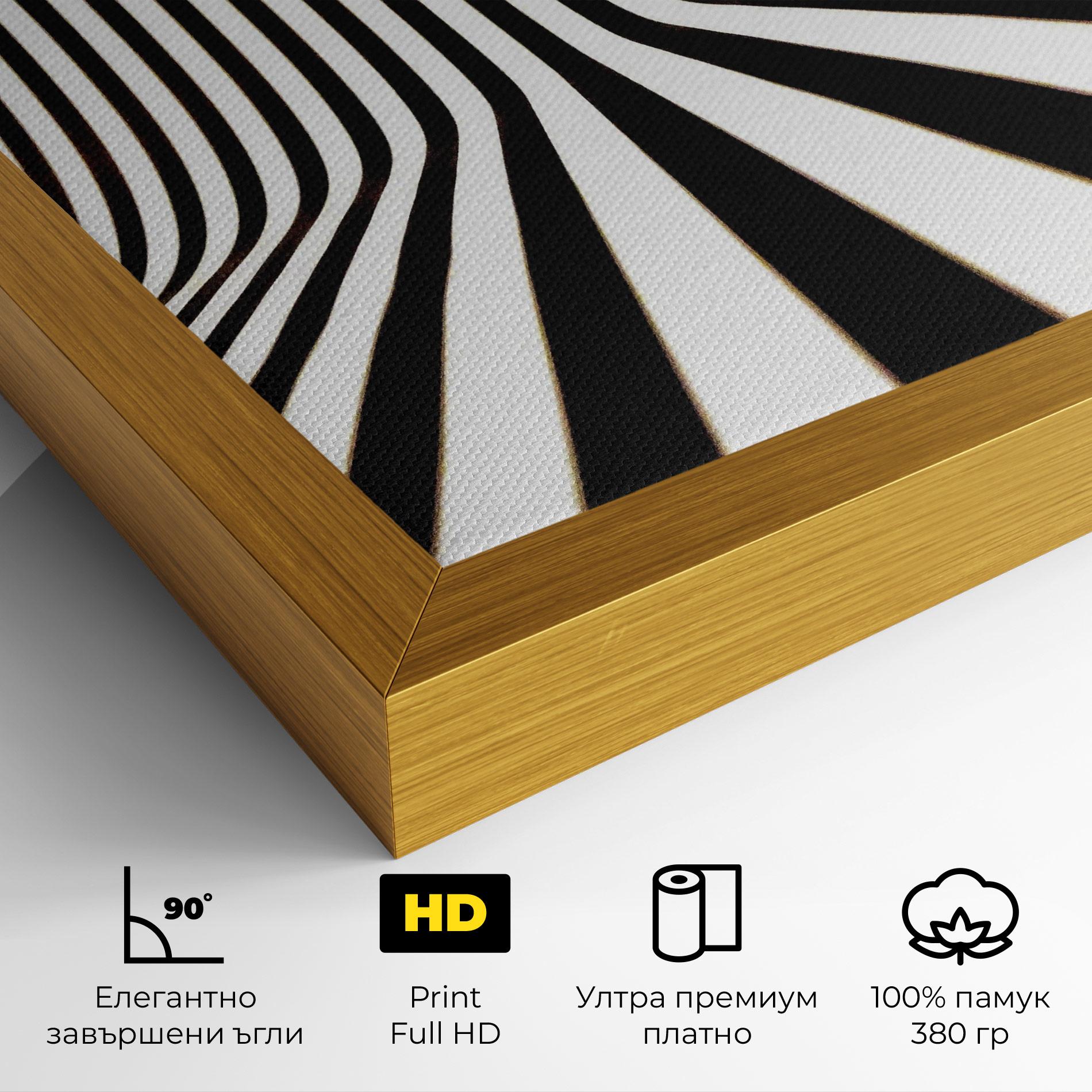 Картина на платно Black And White Illusion mockup 4