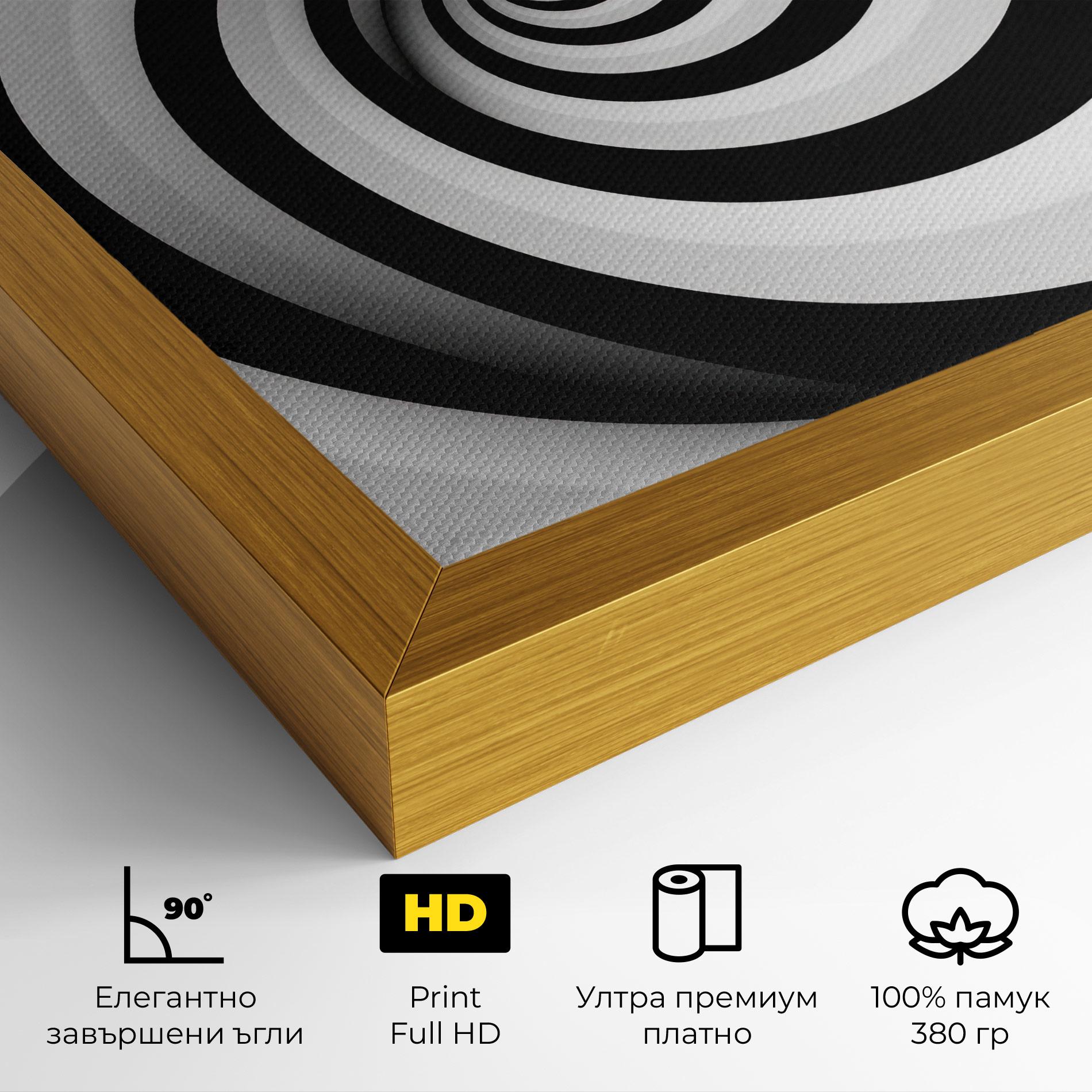 Картина на платно Black White Spiral mockup 4