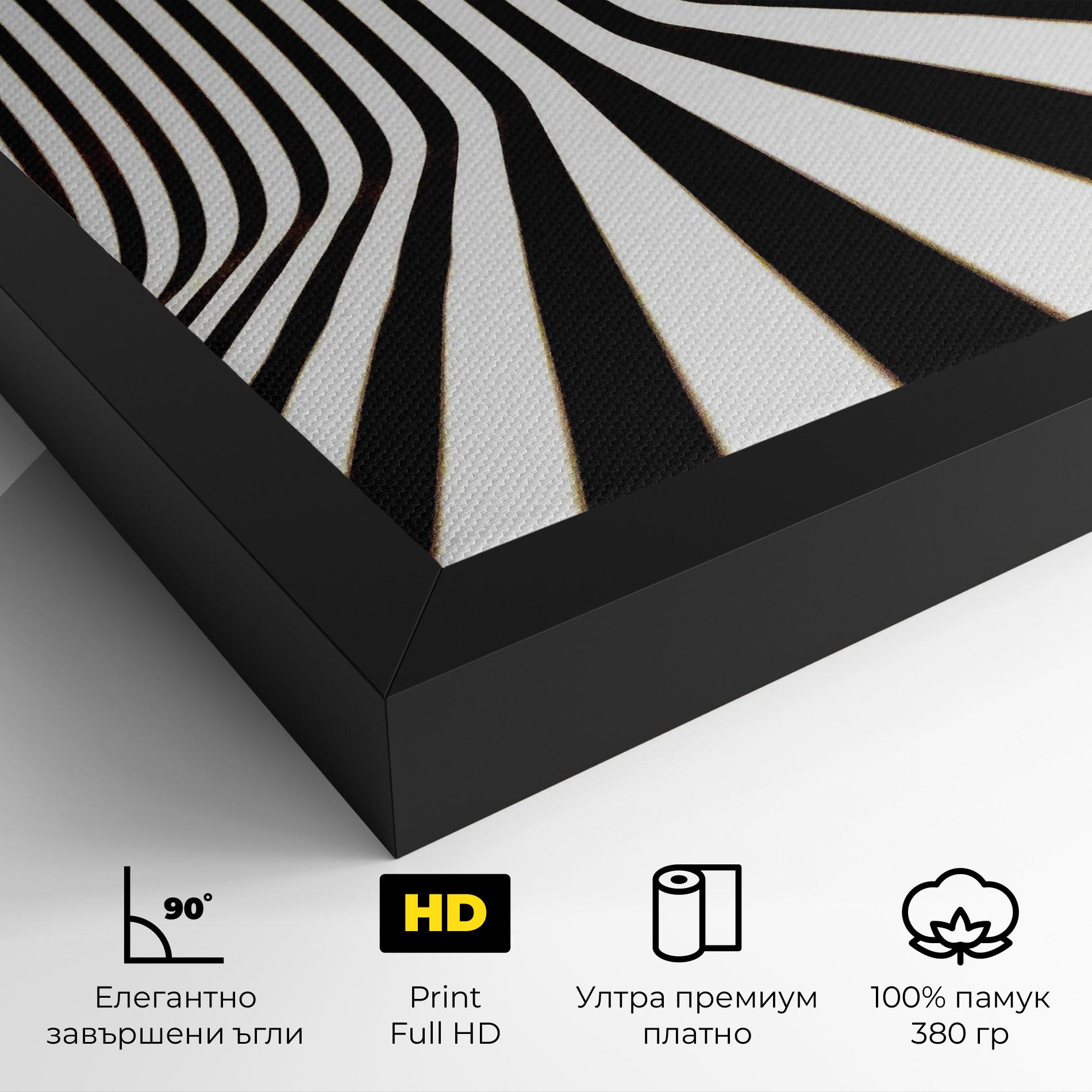 Картина на платно Black And White Illusion mockup 4