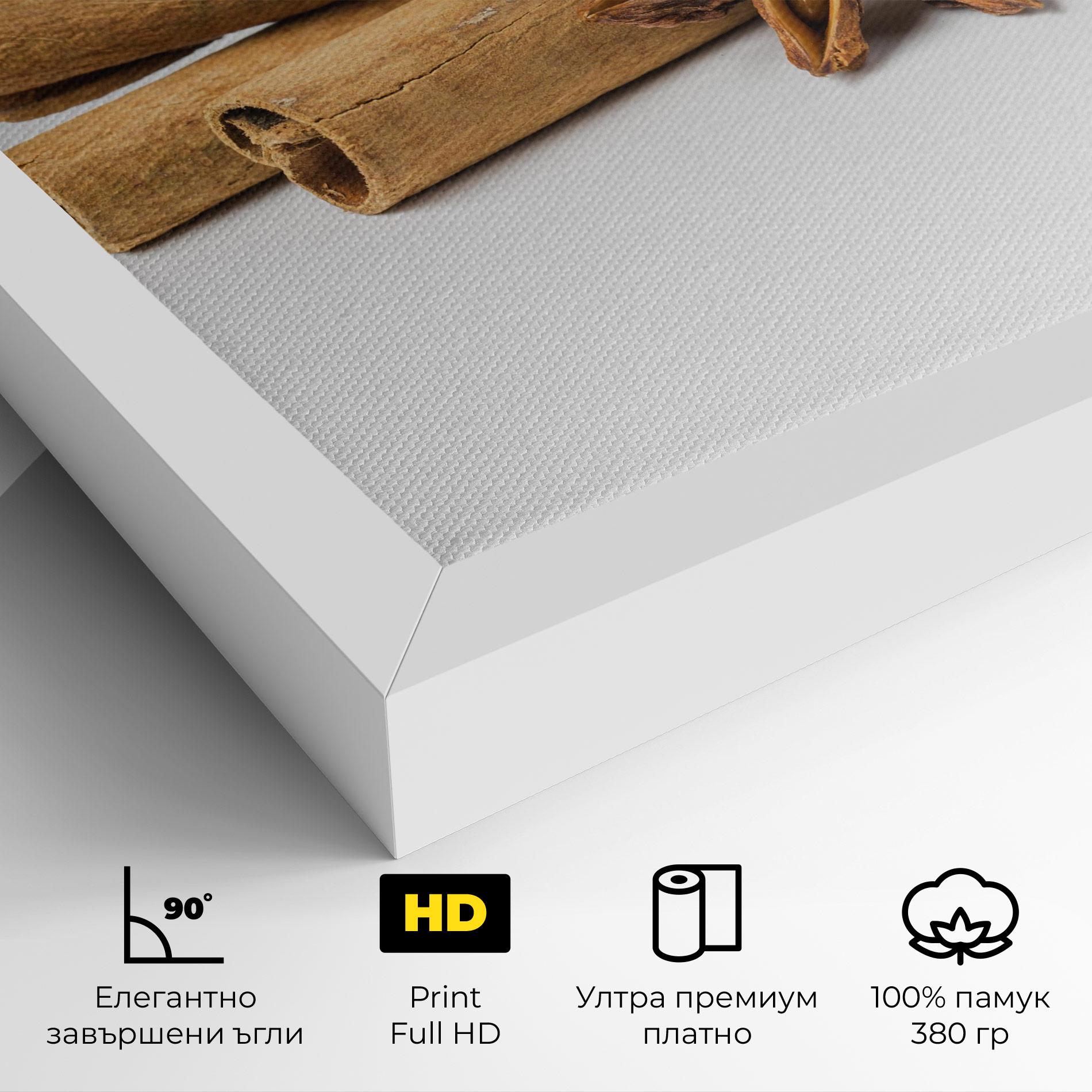 Картина на платно Cinnamon Anise mockup 4
