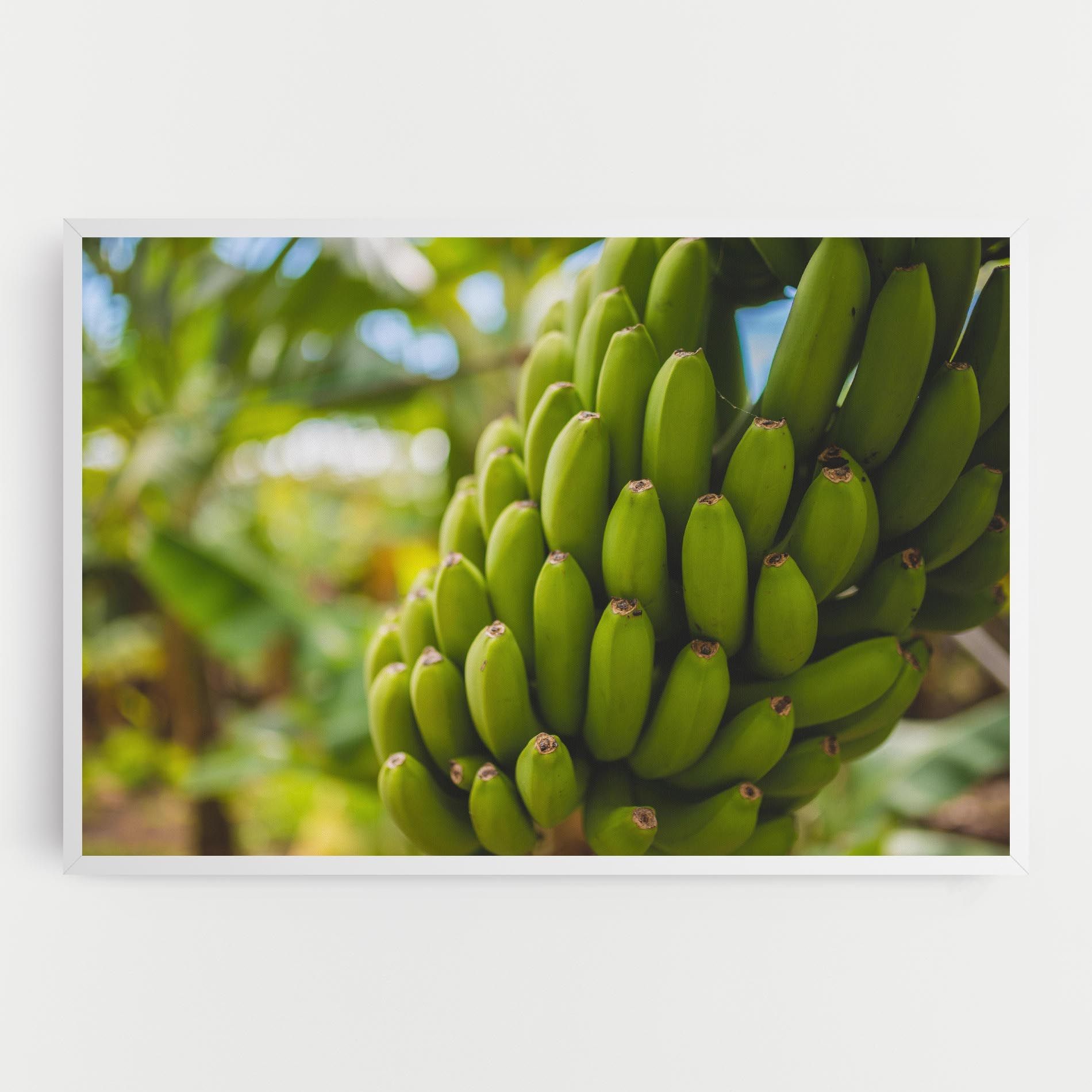 Green Banana mockup 0
