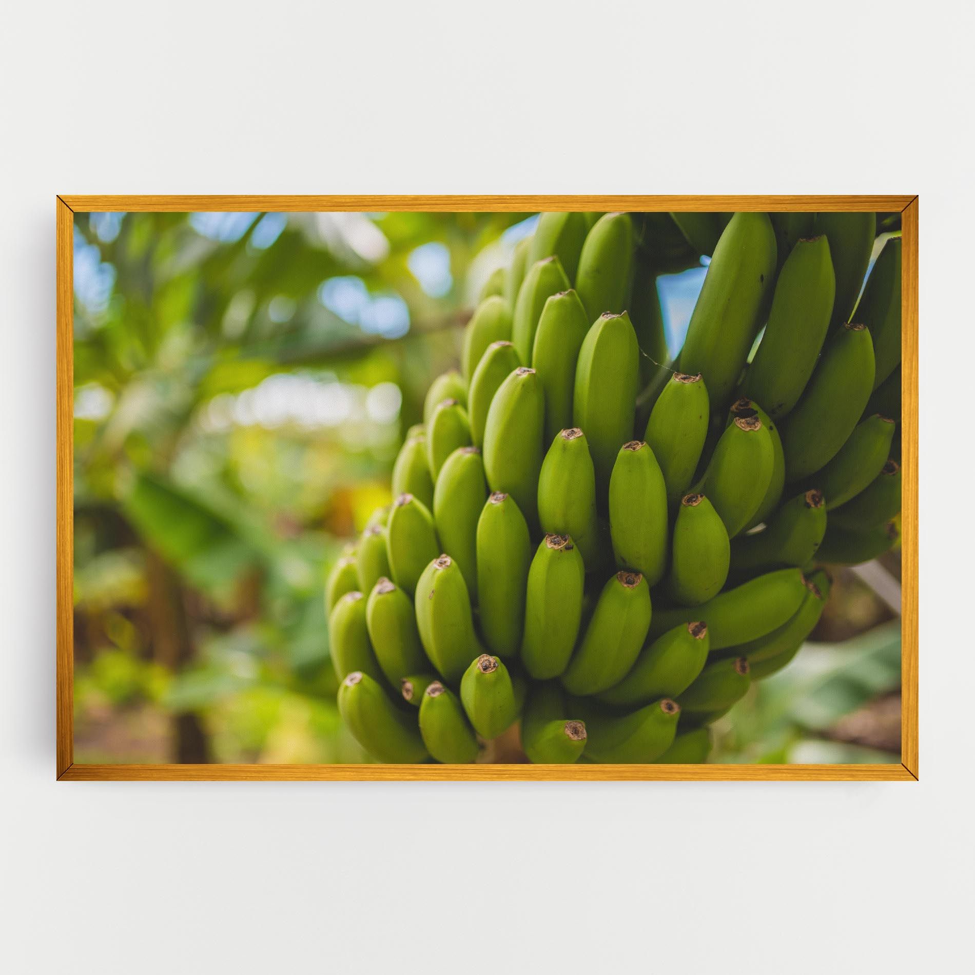 Green Banana mockup 0