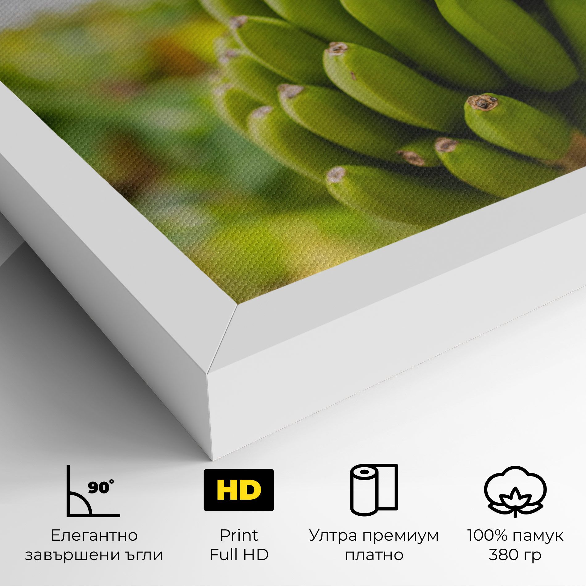 Green Banana mockup 4