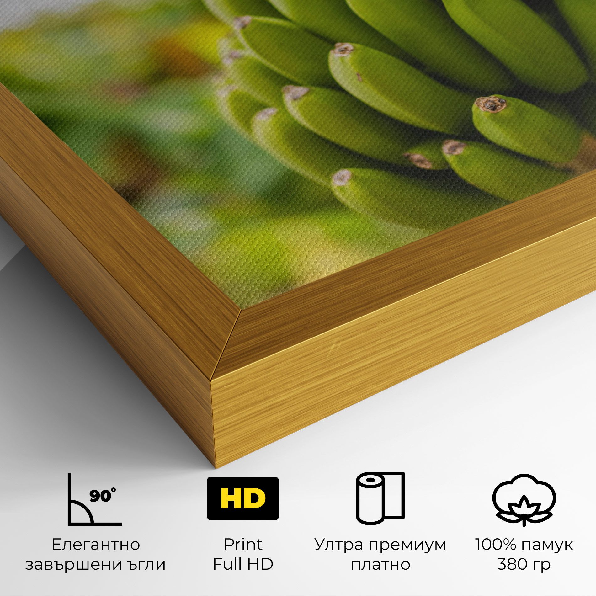 Green Banana mockup 4