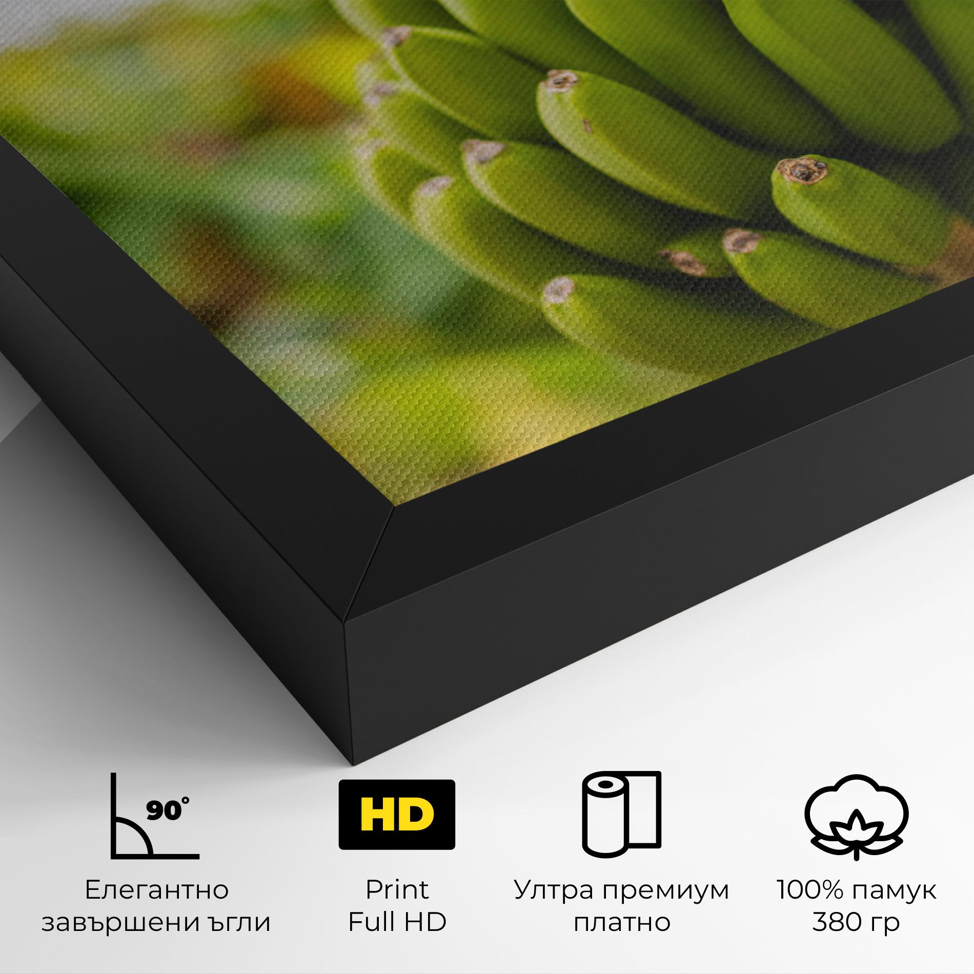 Green Banana mockup 4