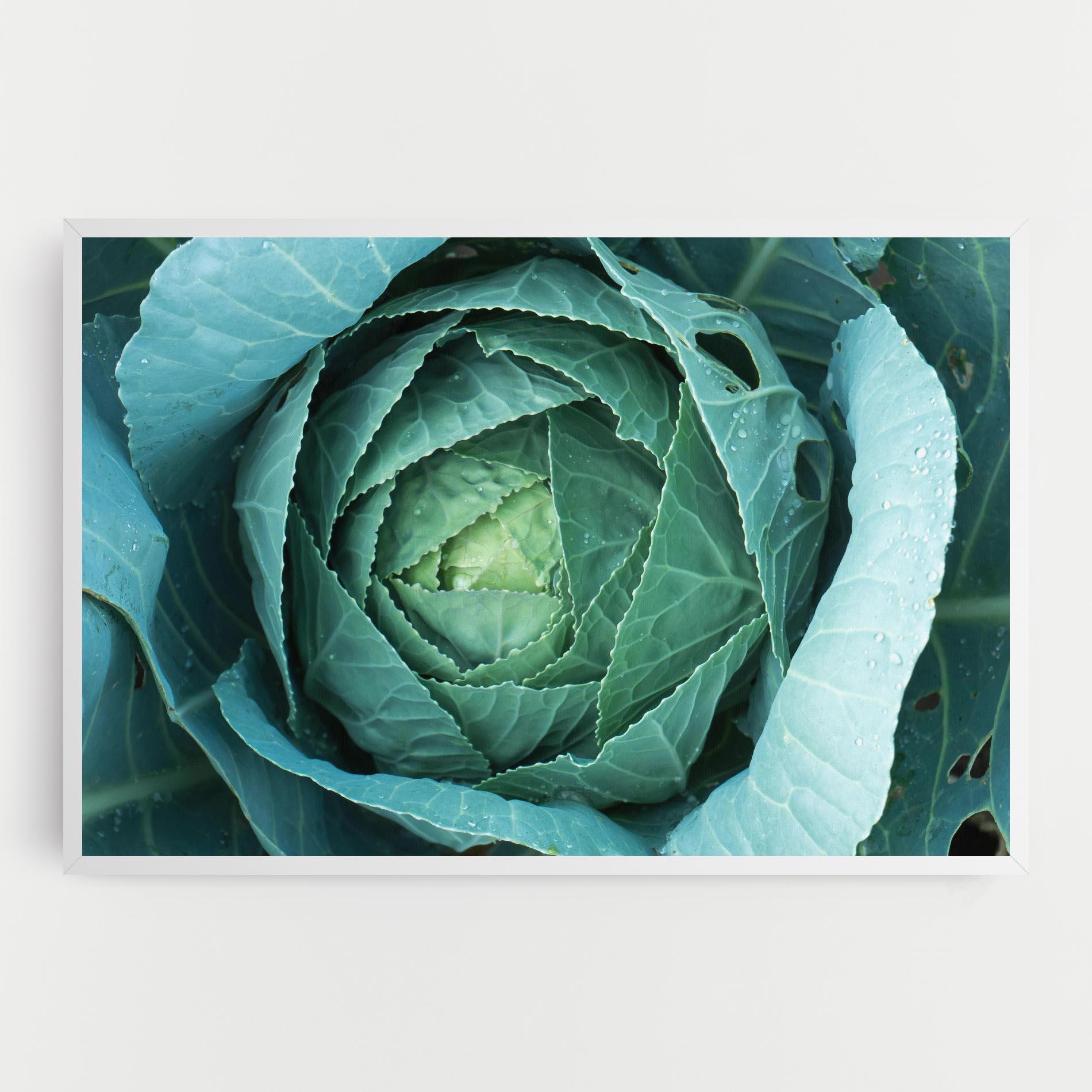 Картина на платно Blue Lettuce mockup 0