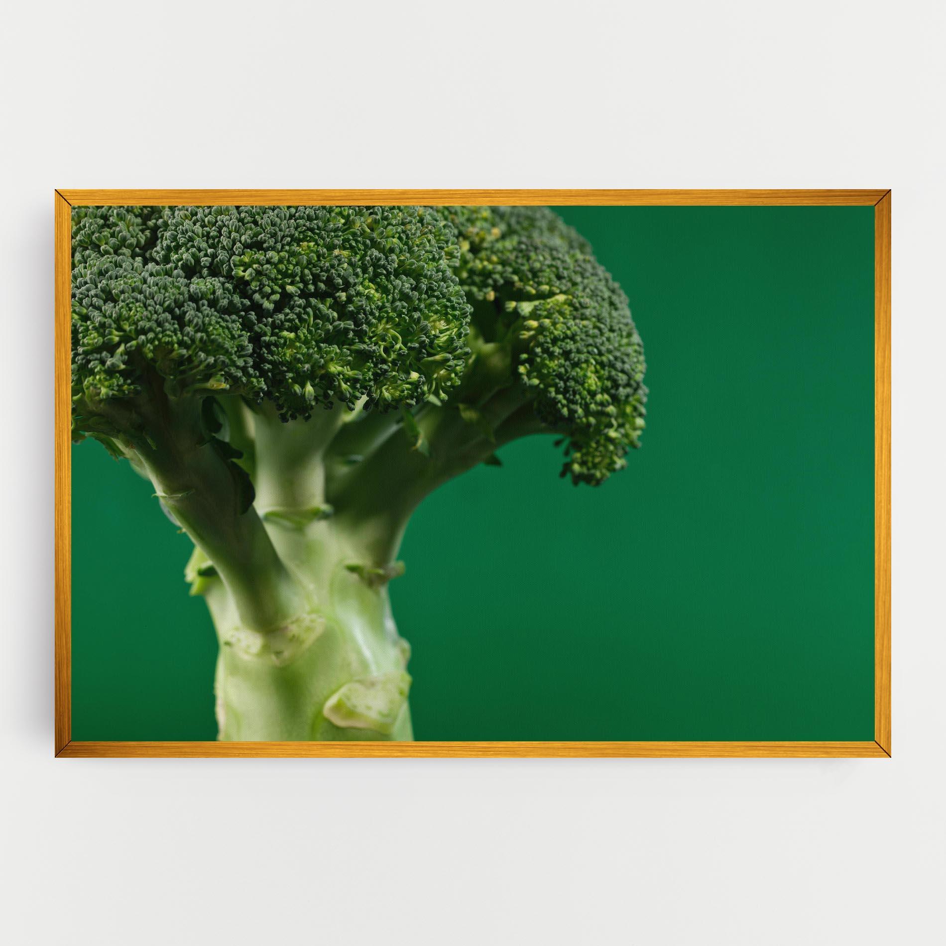 Картина на платно Broccoli mockup 0